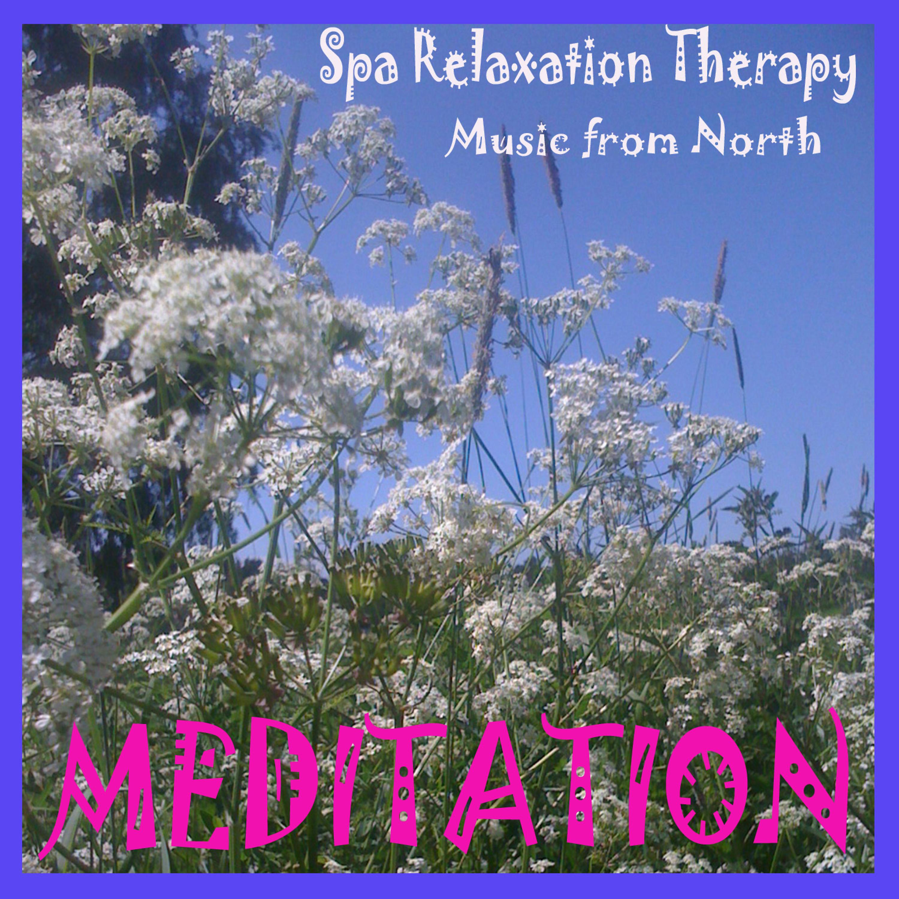 Постер альбома Meditation and Yoga