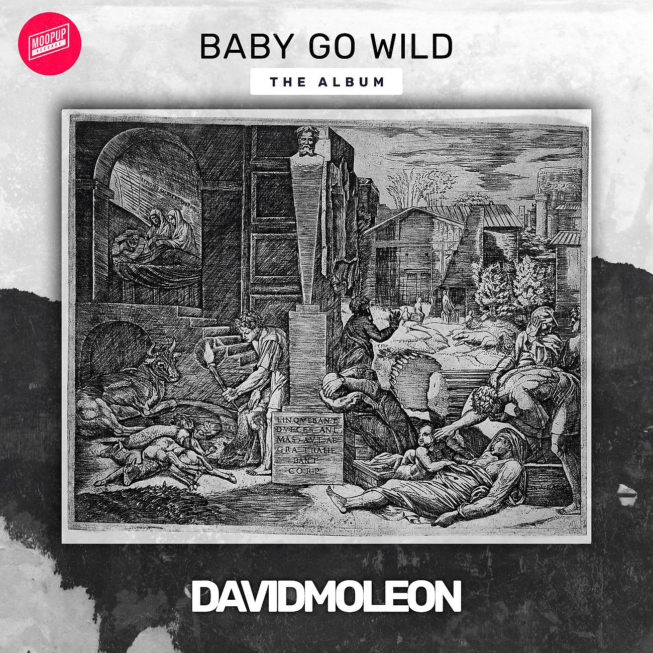 Постер альбома Baby go Wild