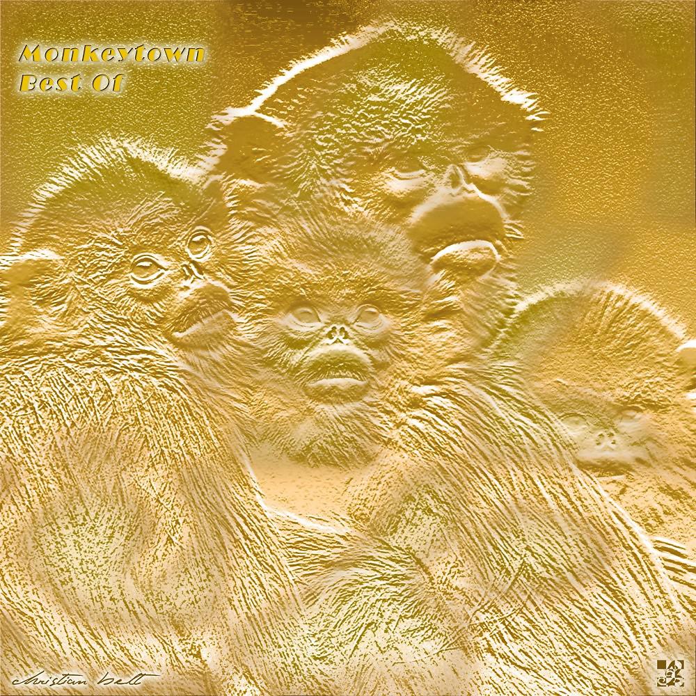 Постер альбома Monkeytown Best Of (Radio Edit Remastered 2022)