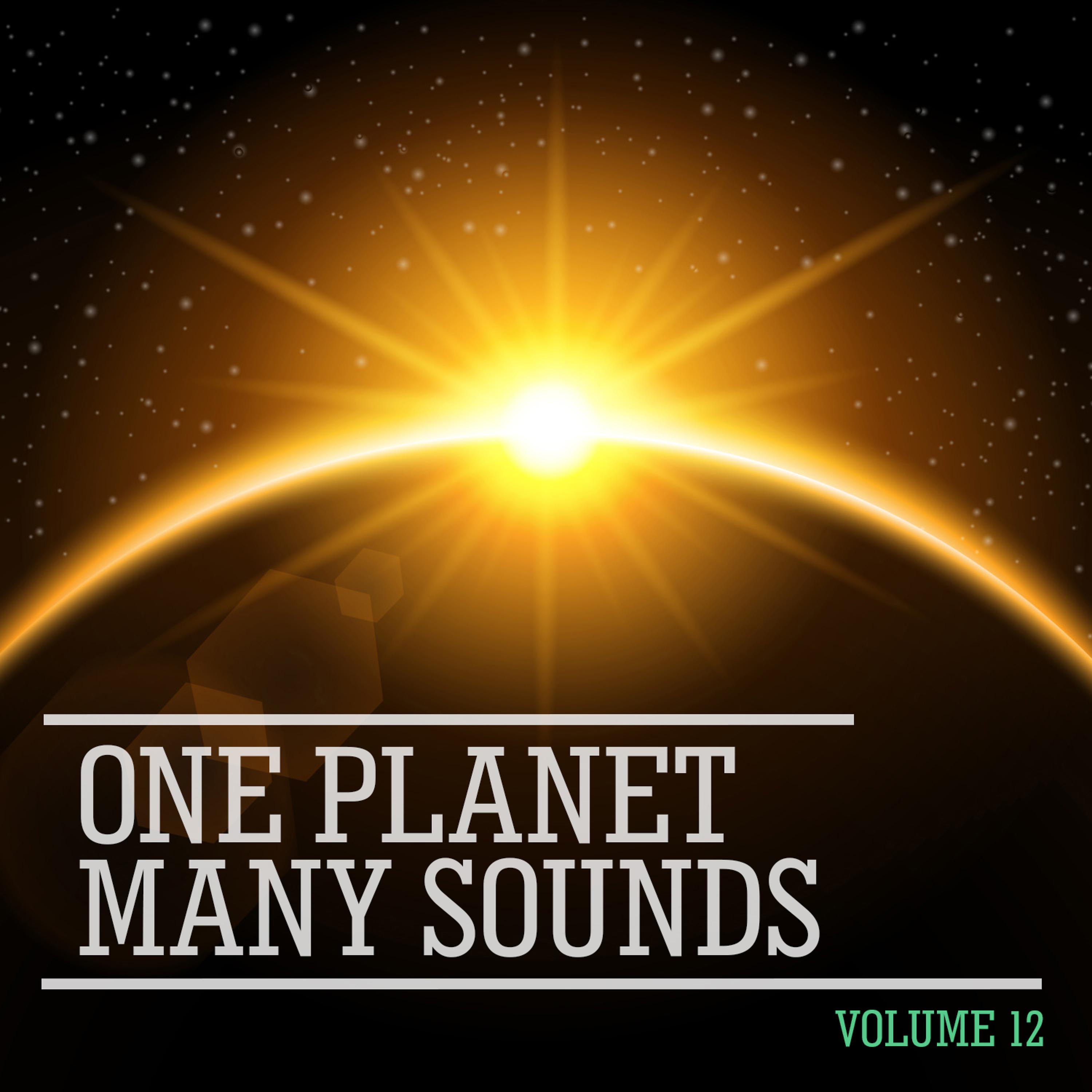 Постер альбома One Planet Many Sounds, Vol. 12