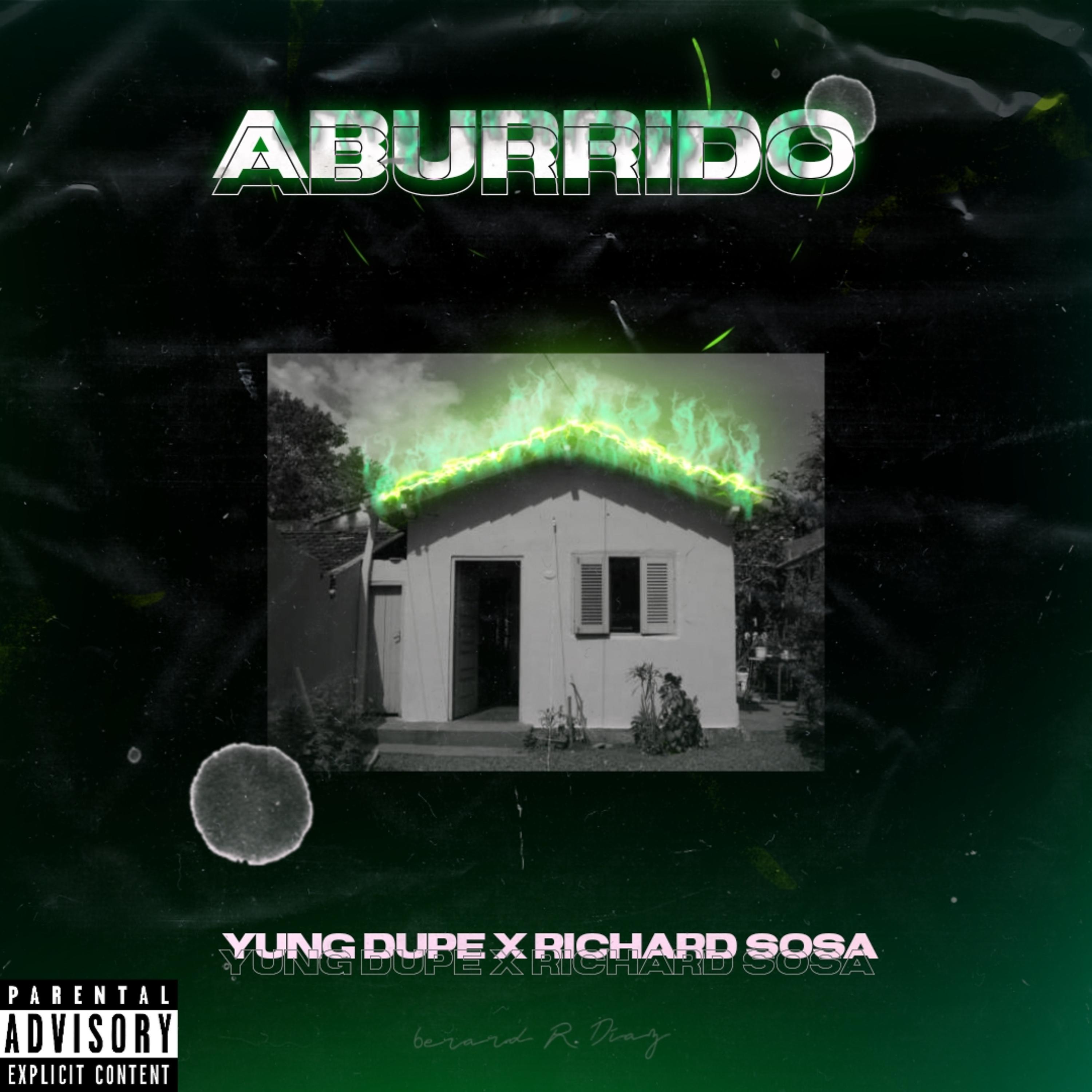 Постер альбома Aburrido