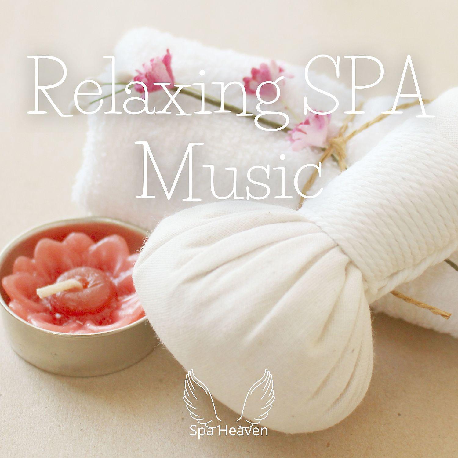 Постер альбома Beautiful Relaxing SPA Music - Deep Sleep Music for Stress Relief
