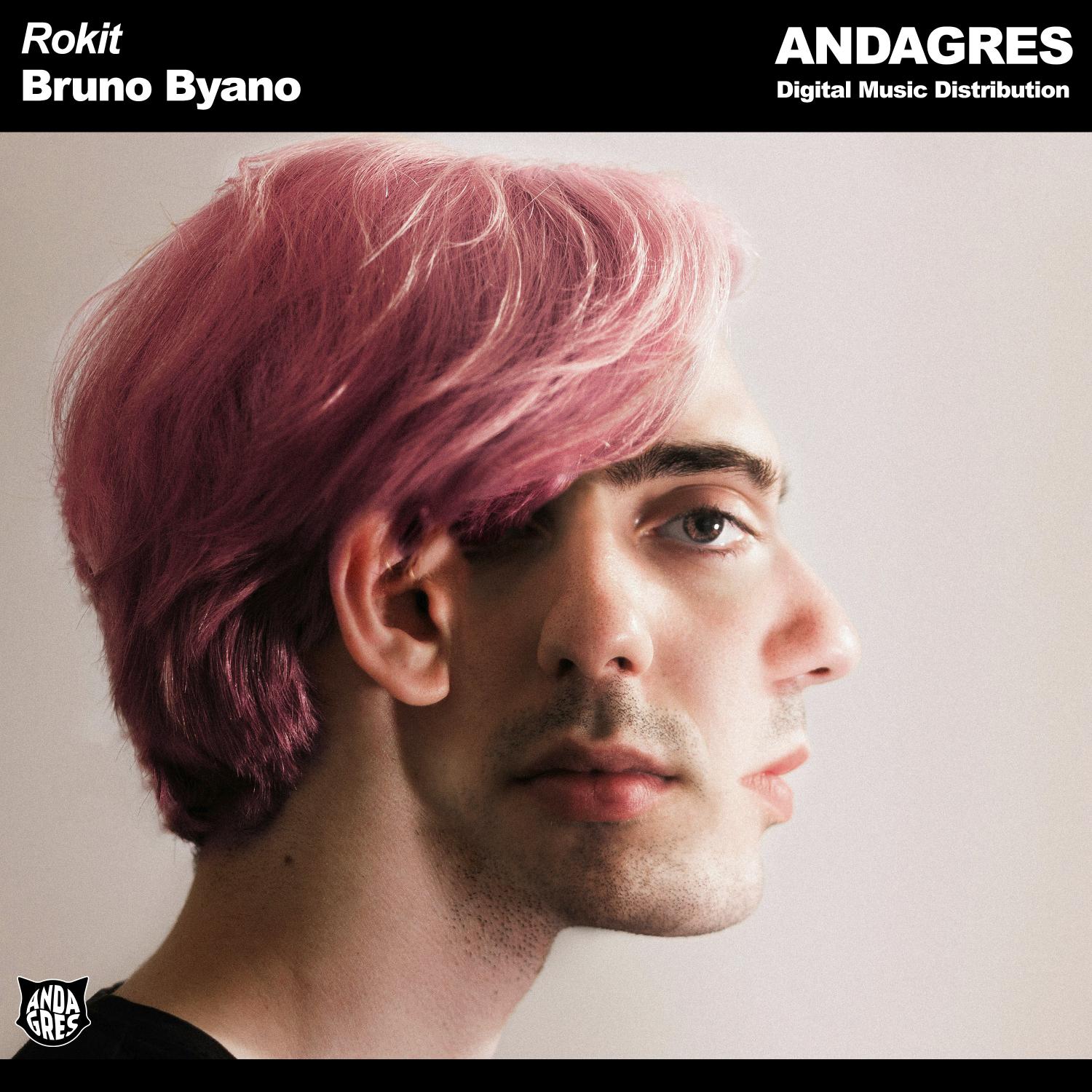 Постер альбома Rokit