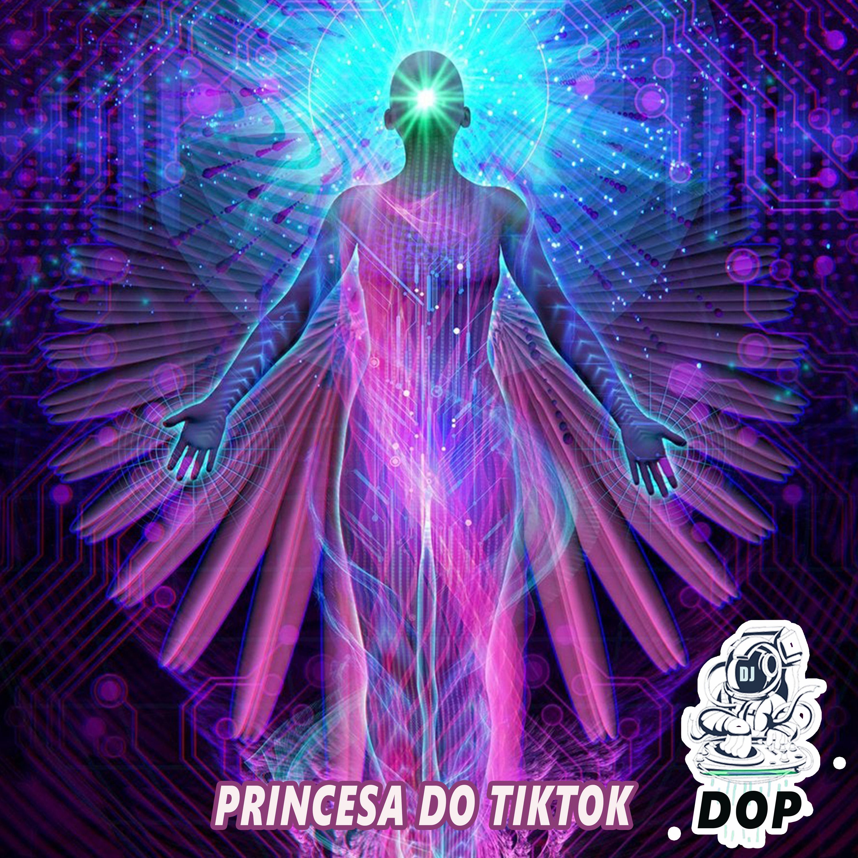 Постер альбома Princesa Do Tiktok