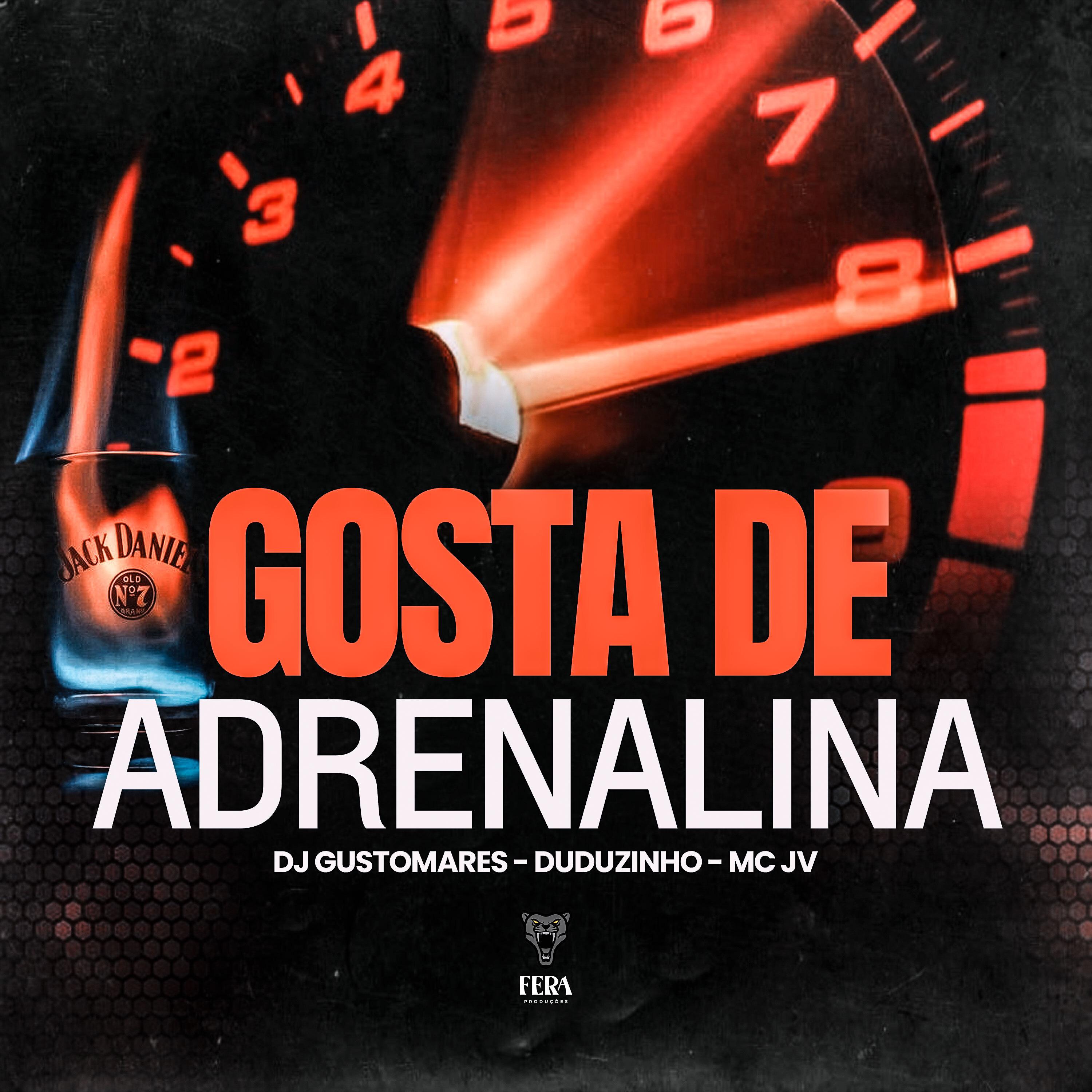 Постер альбома Gosta de Adrenalina