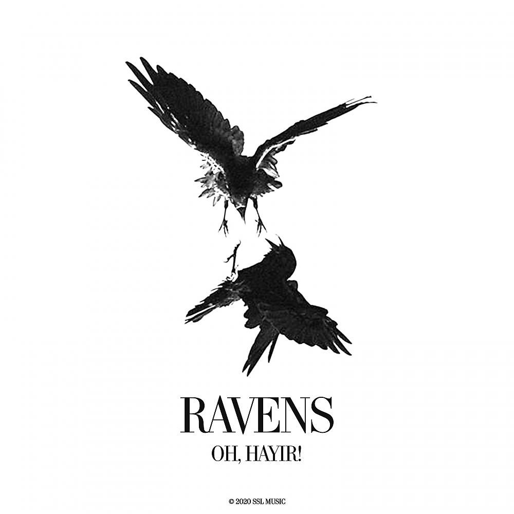 Постер альбома Ravens