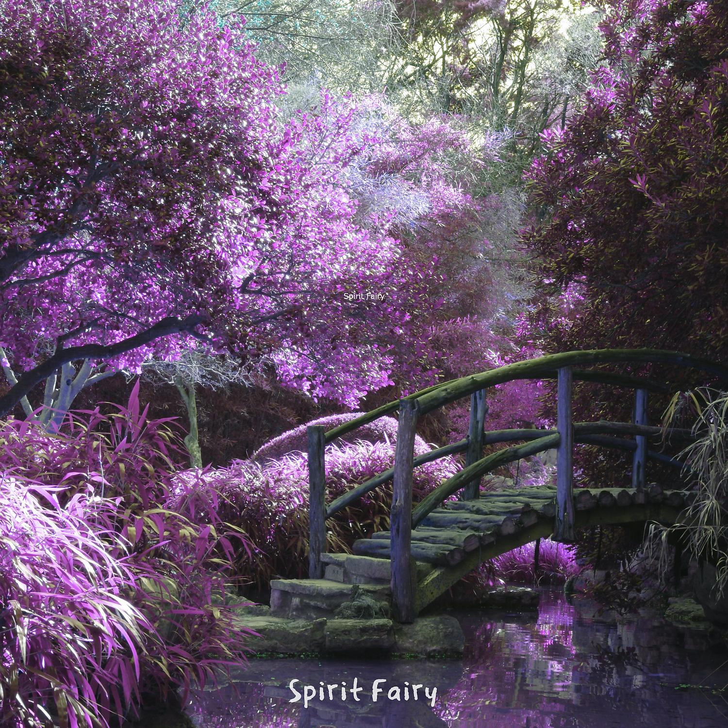 Постер альбома Spirit Fairy