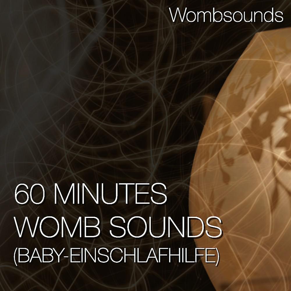 Постер альбома 60 Minutes Womb Sounds (Baby-Einschlafhilfe)