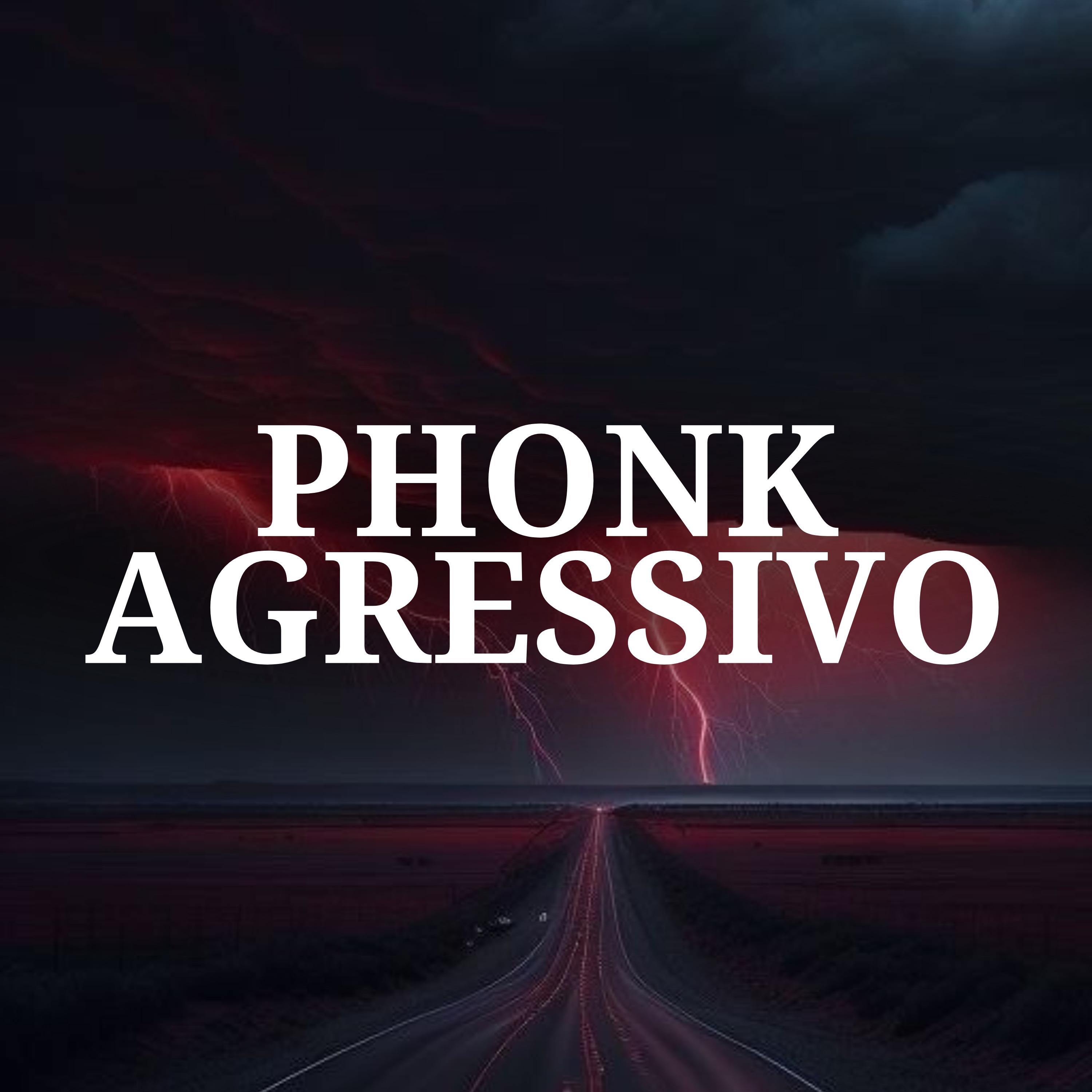 Постер альбома Phonk Agressivo