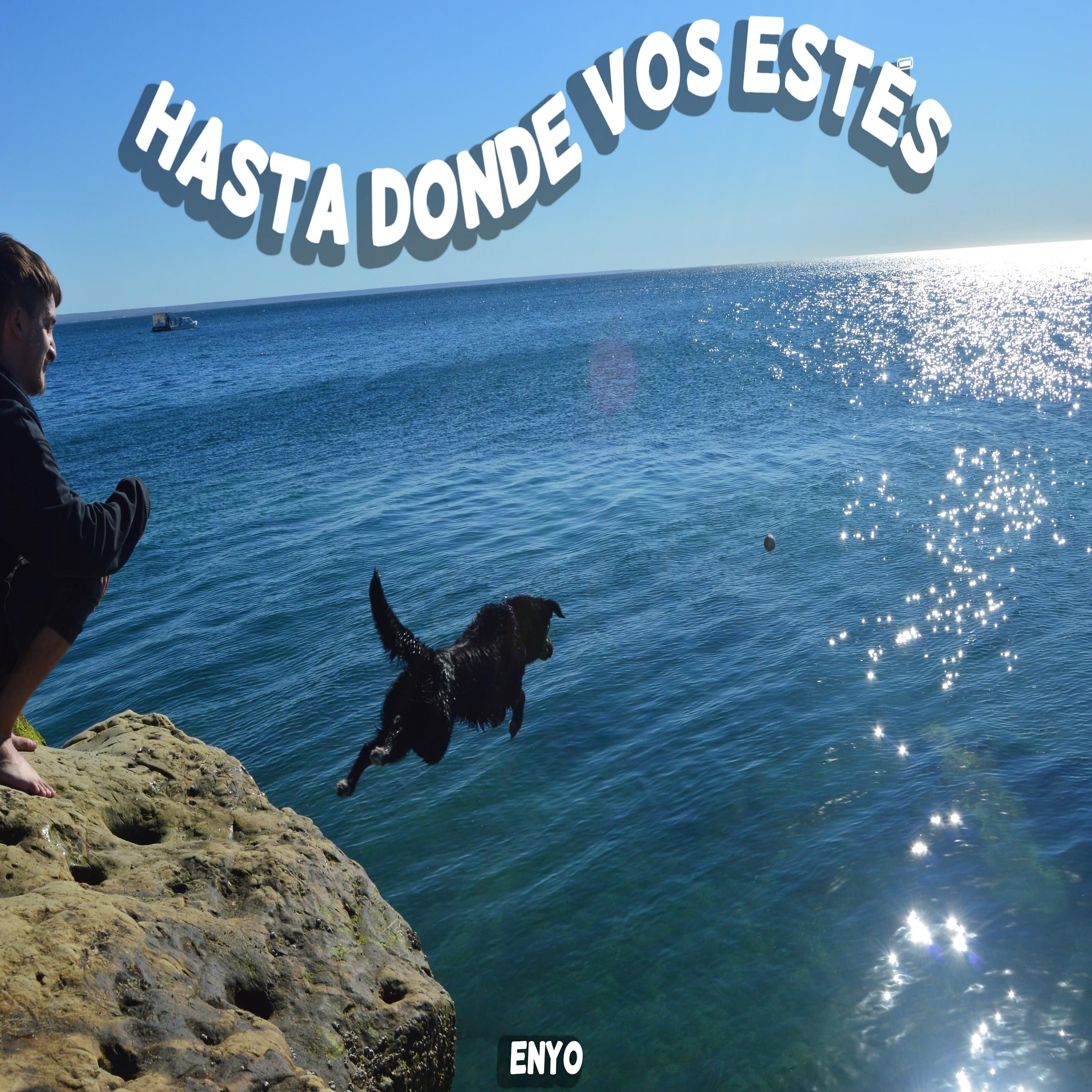 Постер альбома Hasta Donde Vos Estés
