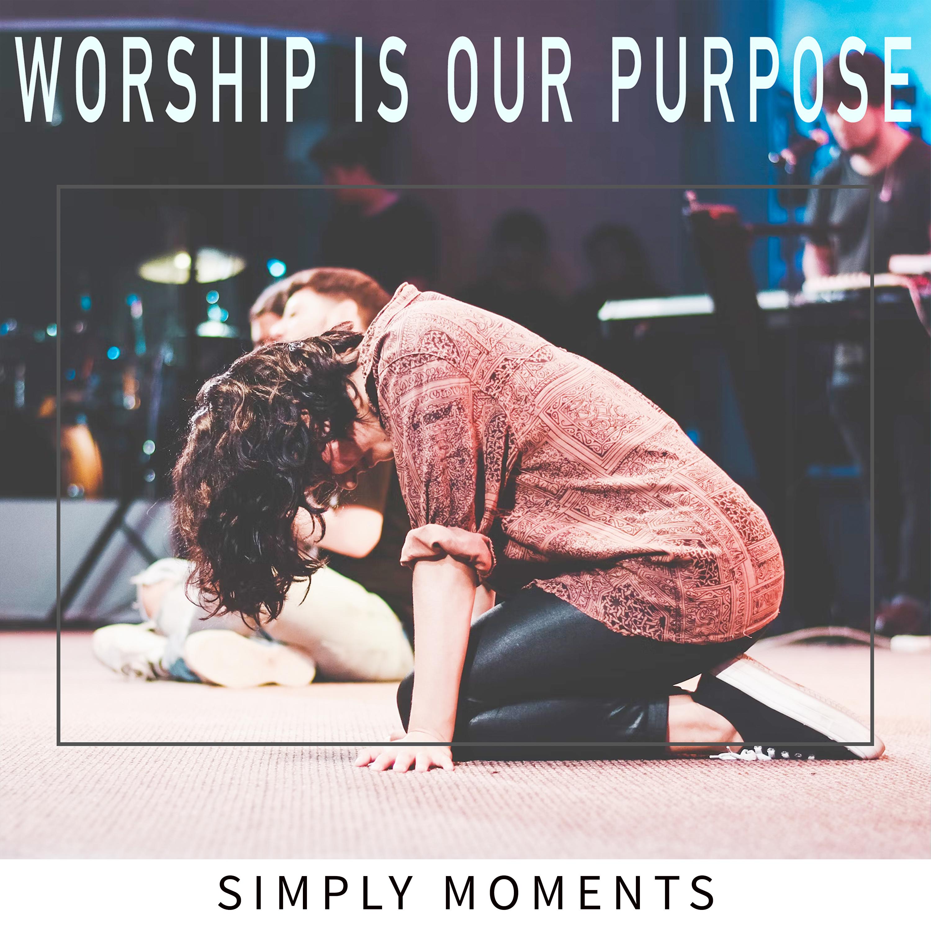 Постер альбома Worship Is Our Purpose