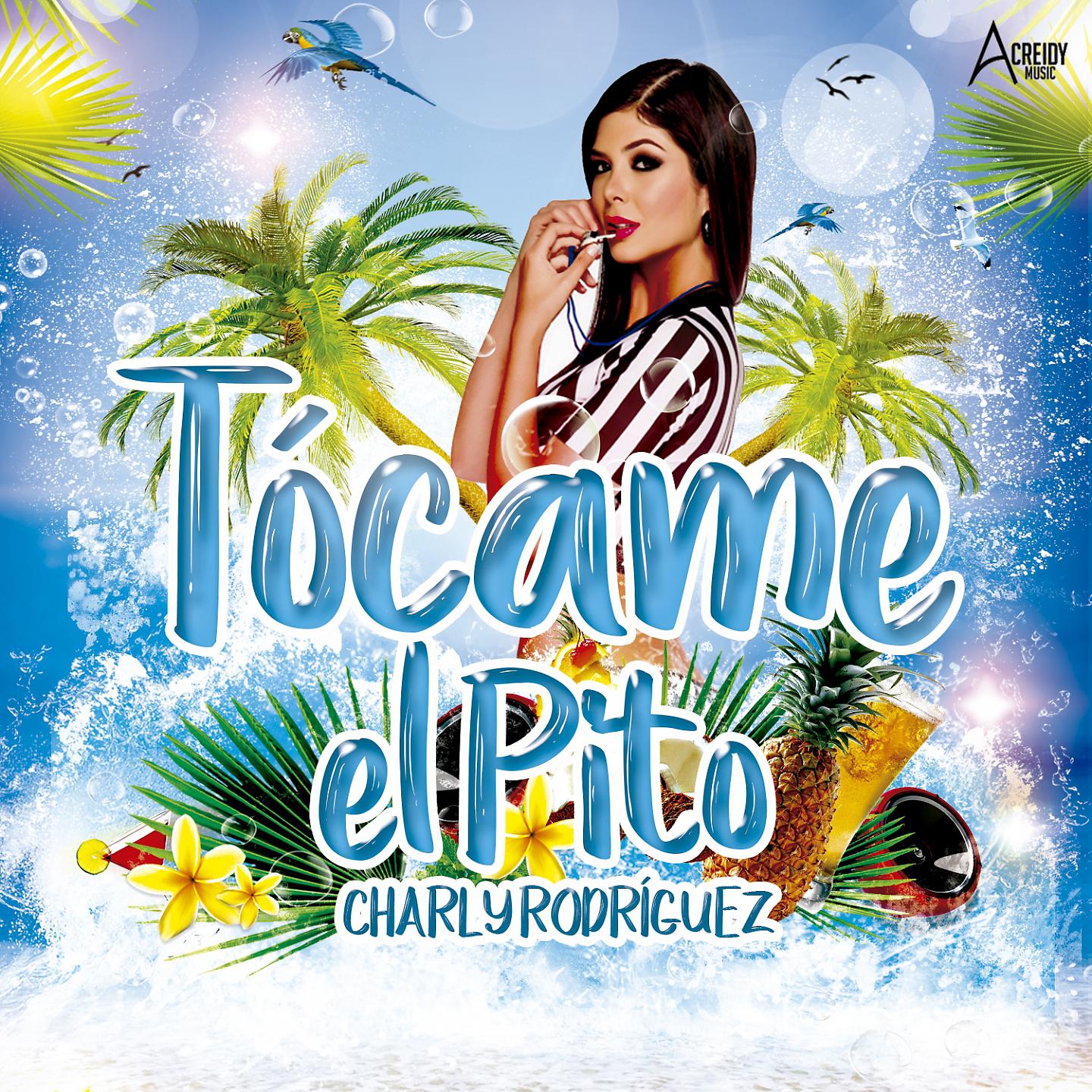 Постер альбома Tócame el Pito