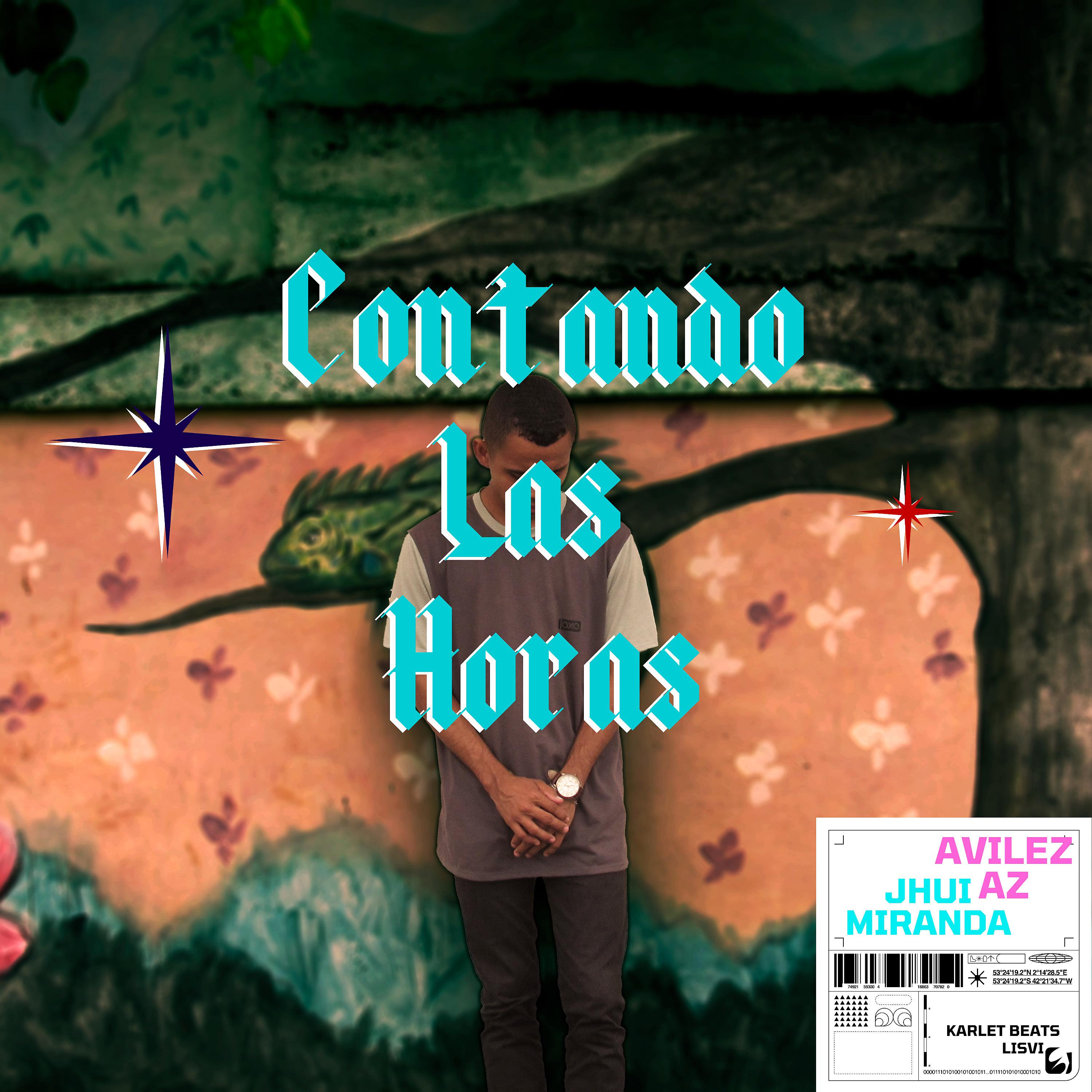 Постер альбома Contando las Horas