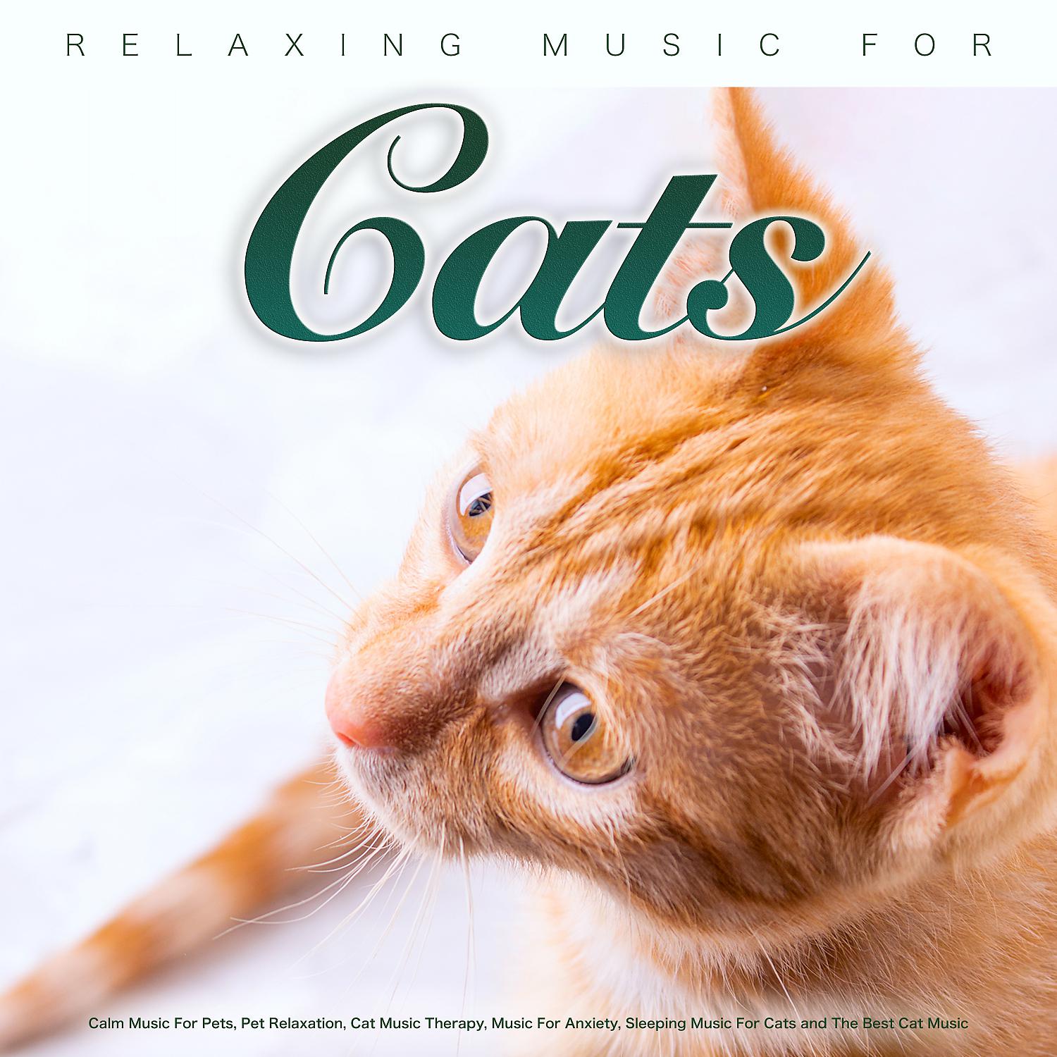 Постер альбома Relaxing Music For Cats: Calm Music For Pets, Pet Relaxation, Cat Music Therapy, Music For Anxiety, Sleeping Music For Cats and The Best Cat Music