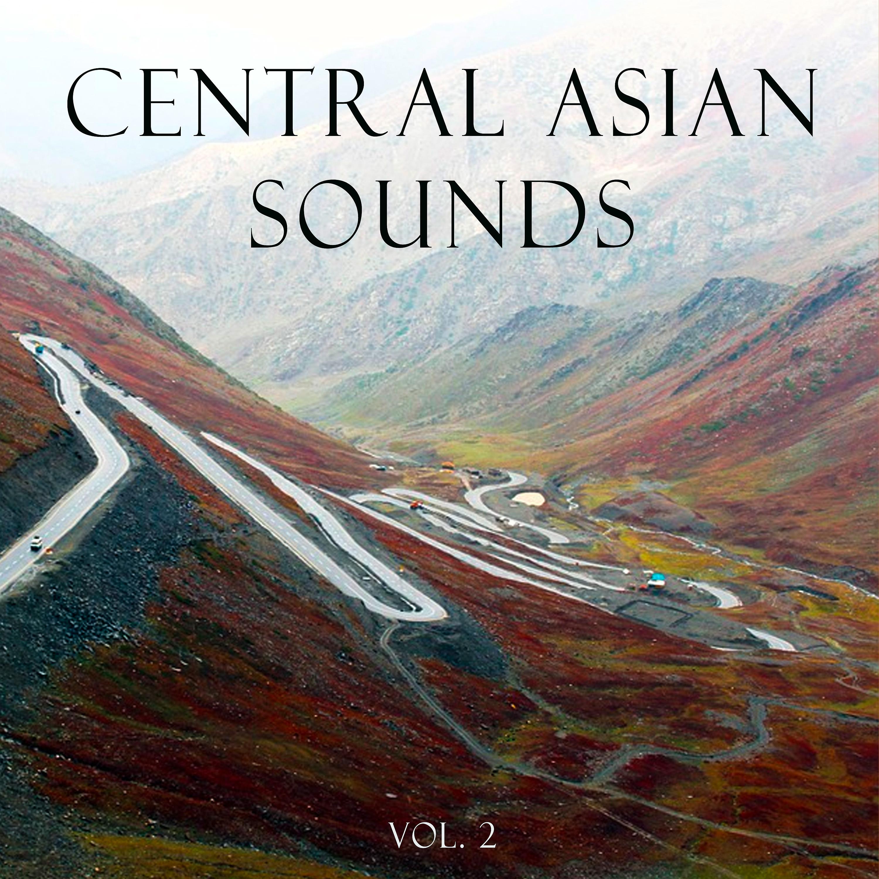 Постер альбома Central Asian Sounds, Vol. 2
