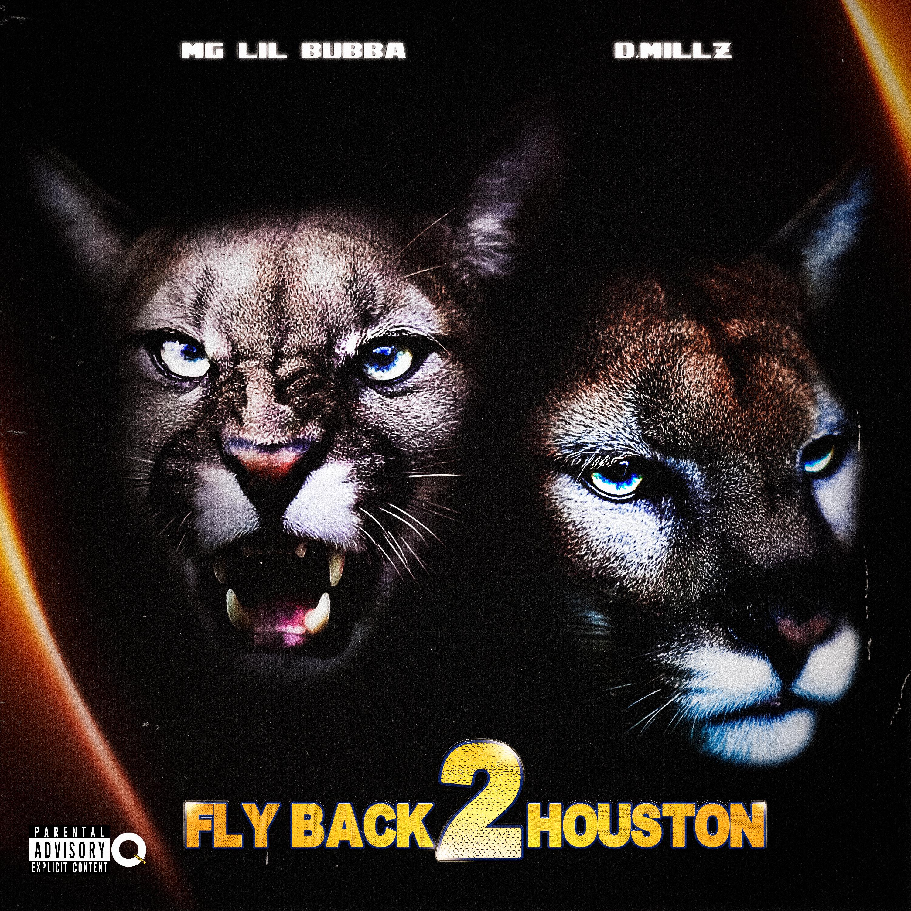 Постер альбома Fly Back 2 Houston