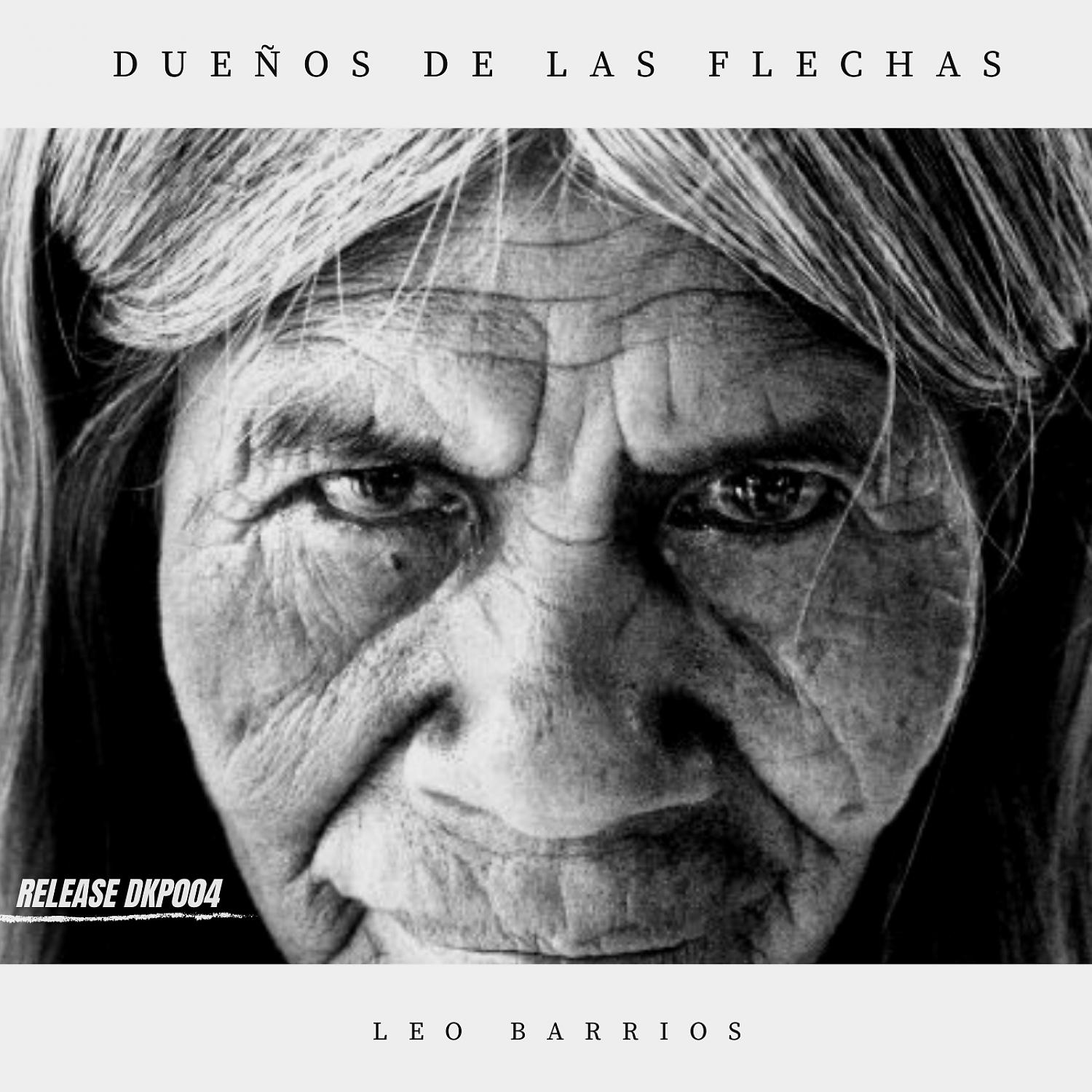 Постер альбома Dueños de las Flechas