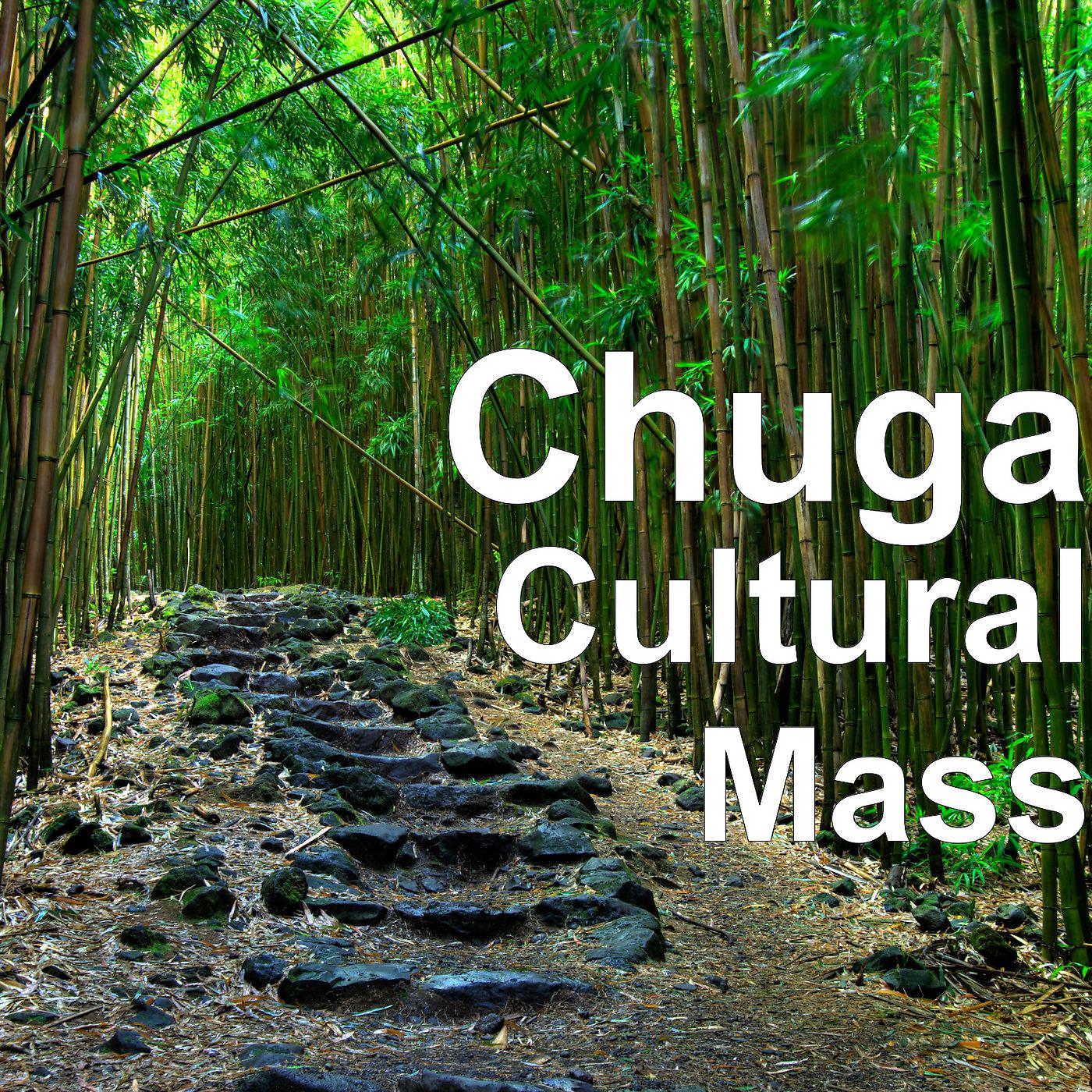 Постер альбома Cultural Mass