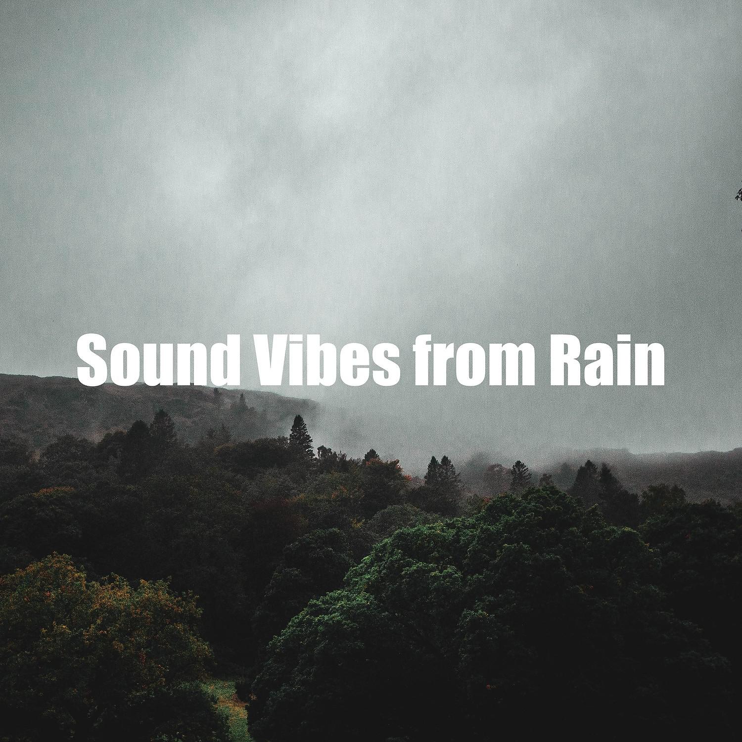 Постер альбома Sound Vibes from Rain