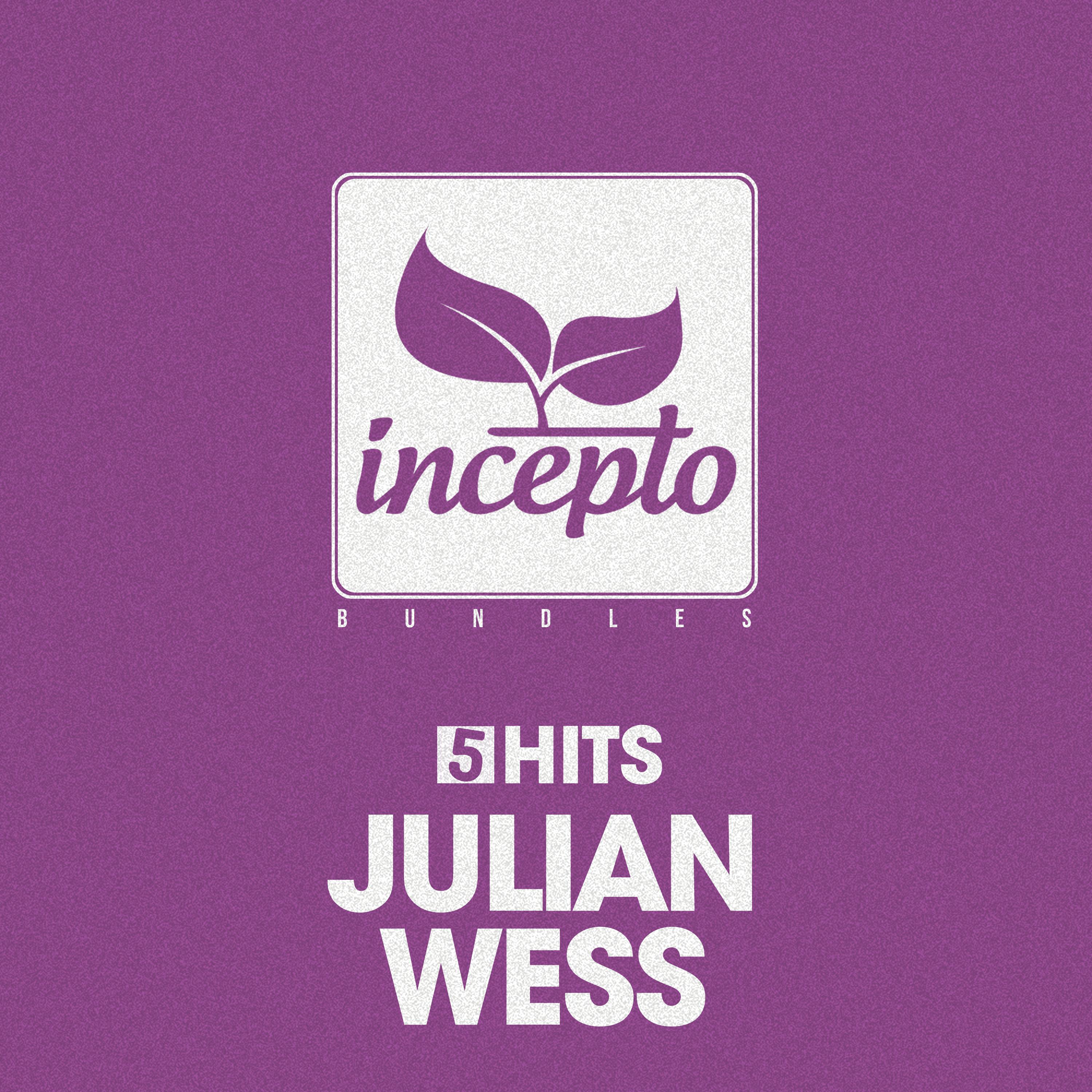 Постер альбома 5 Hits: Julian Wess