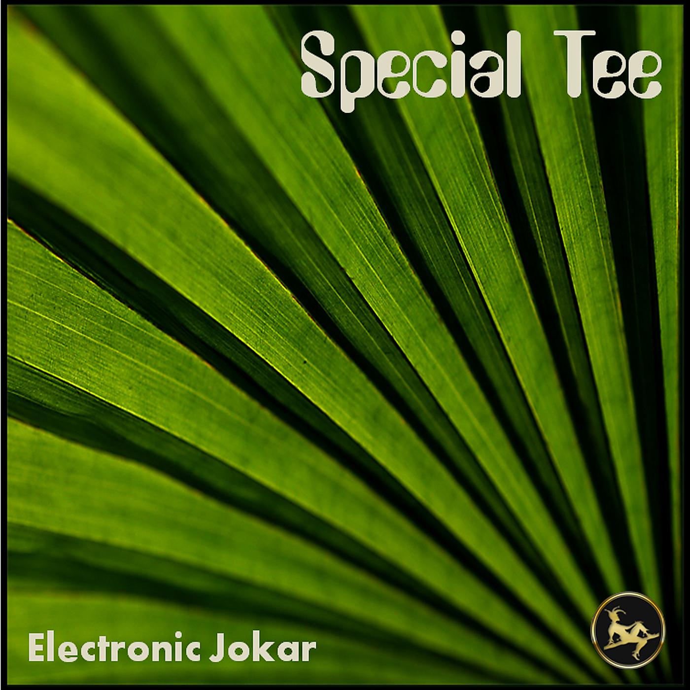 Постер альбома Special Tee