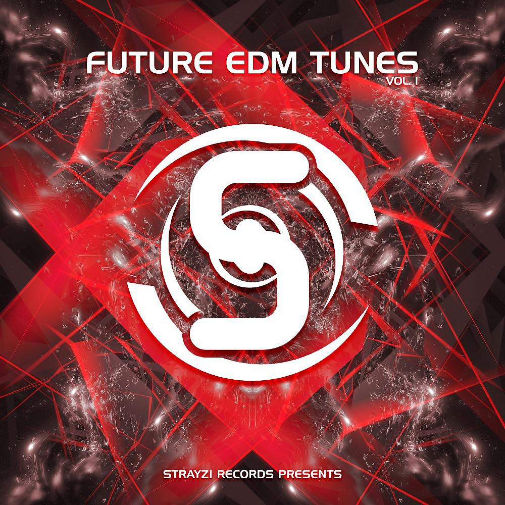 Постер альбома Strayzi Records Presents: Future EDM Tunes Vol. 1
