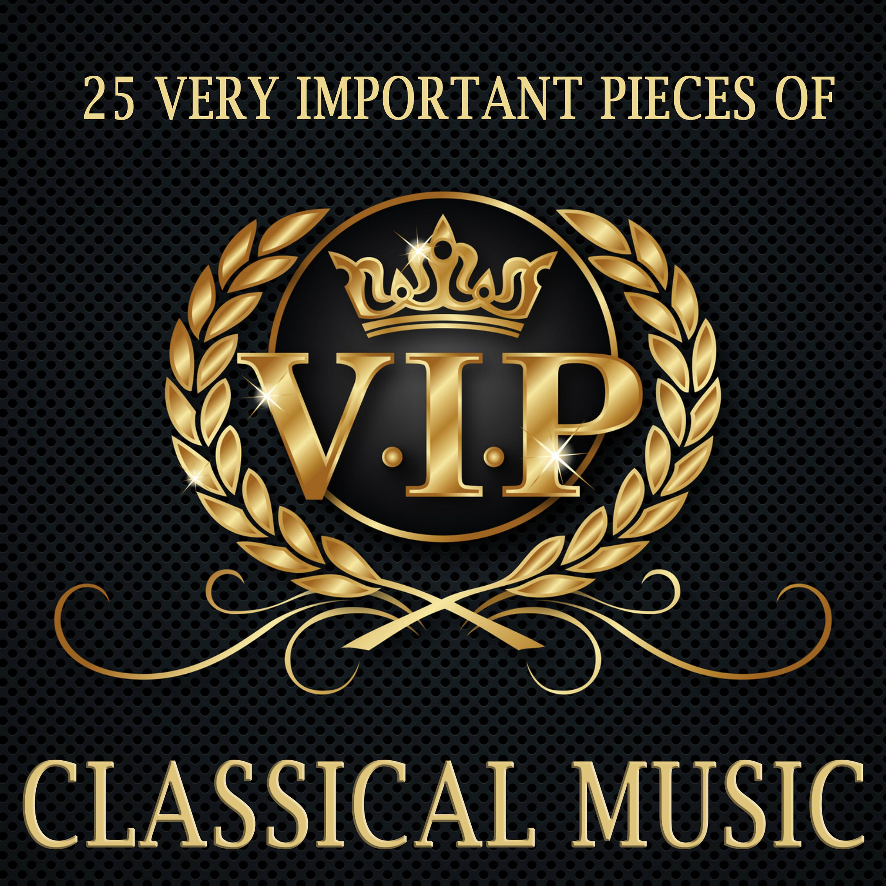 Постер альбома Classical Piano - 25 Very Important Pieces of Classical Music - Vip