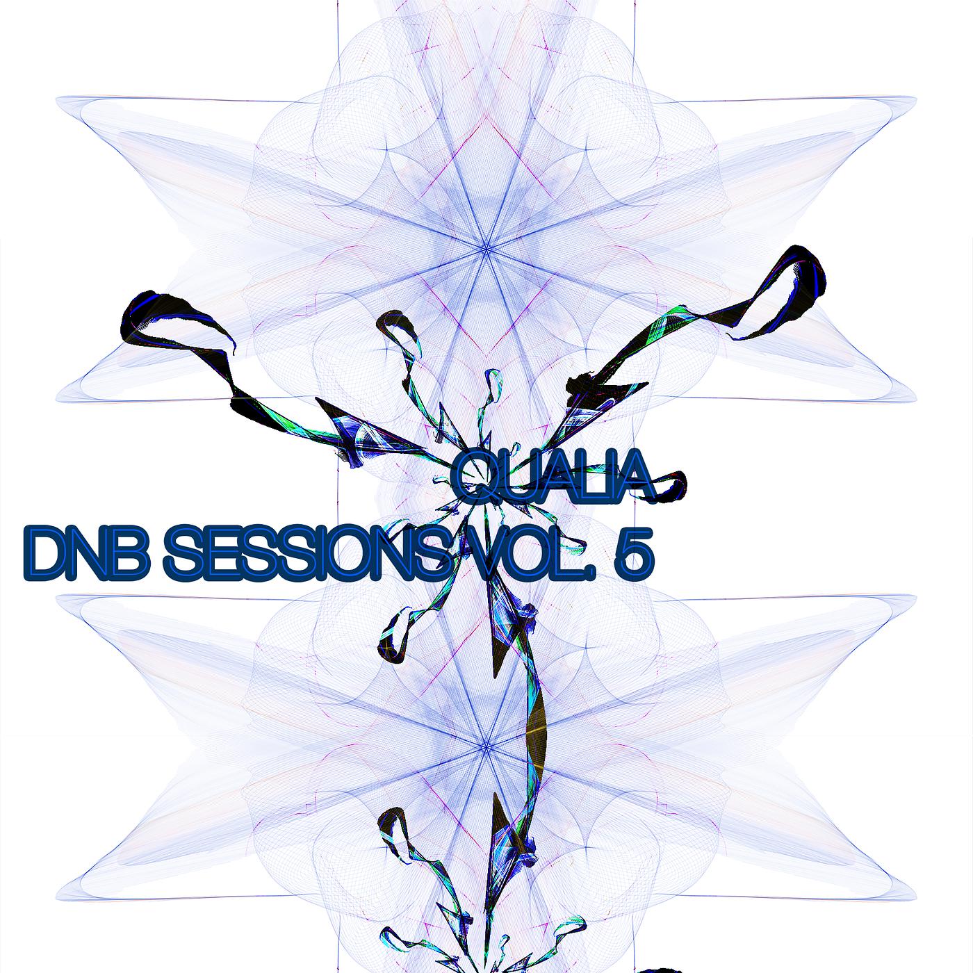 Постер альбома Dnb Sessions, Vol. 5