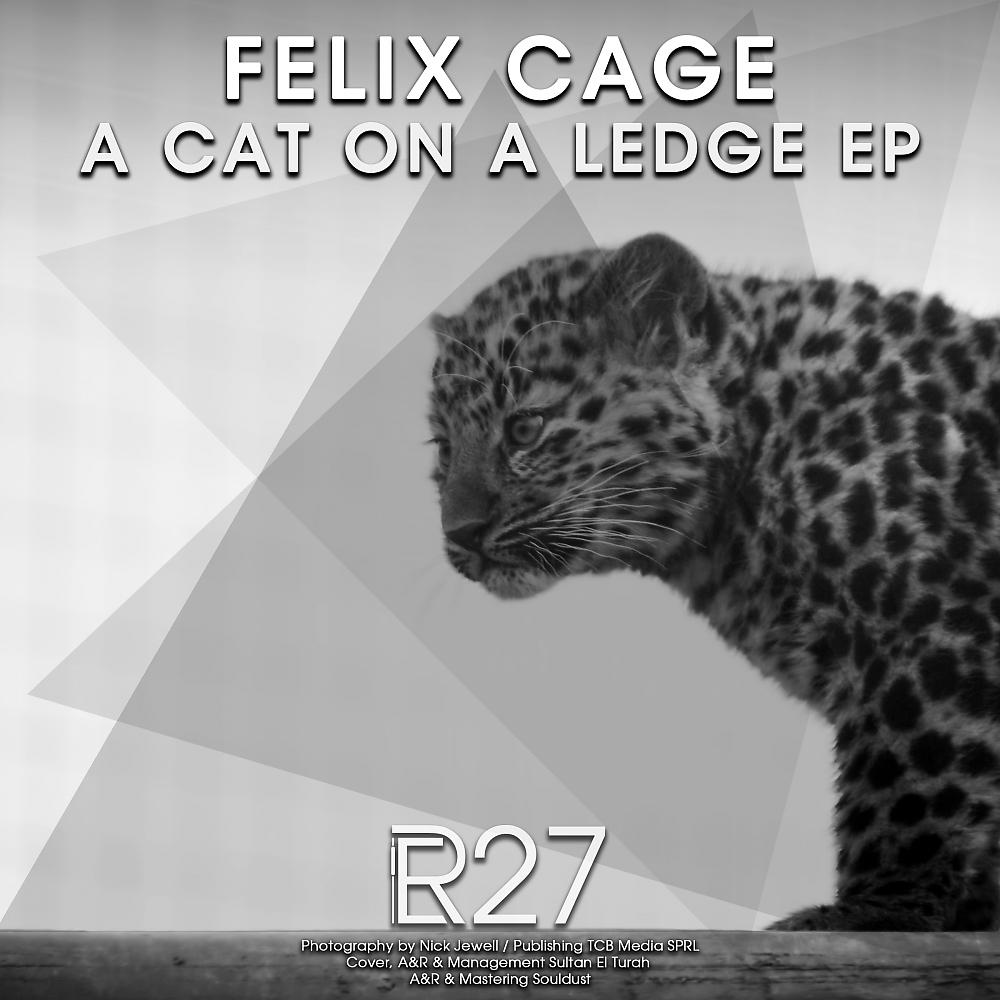 Постер альбома A Cat On A Ledge EP