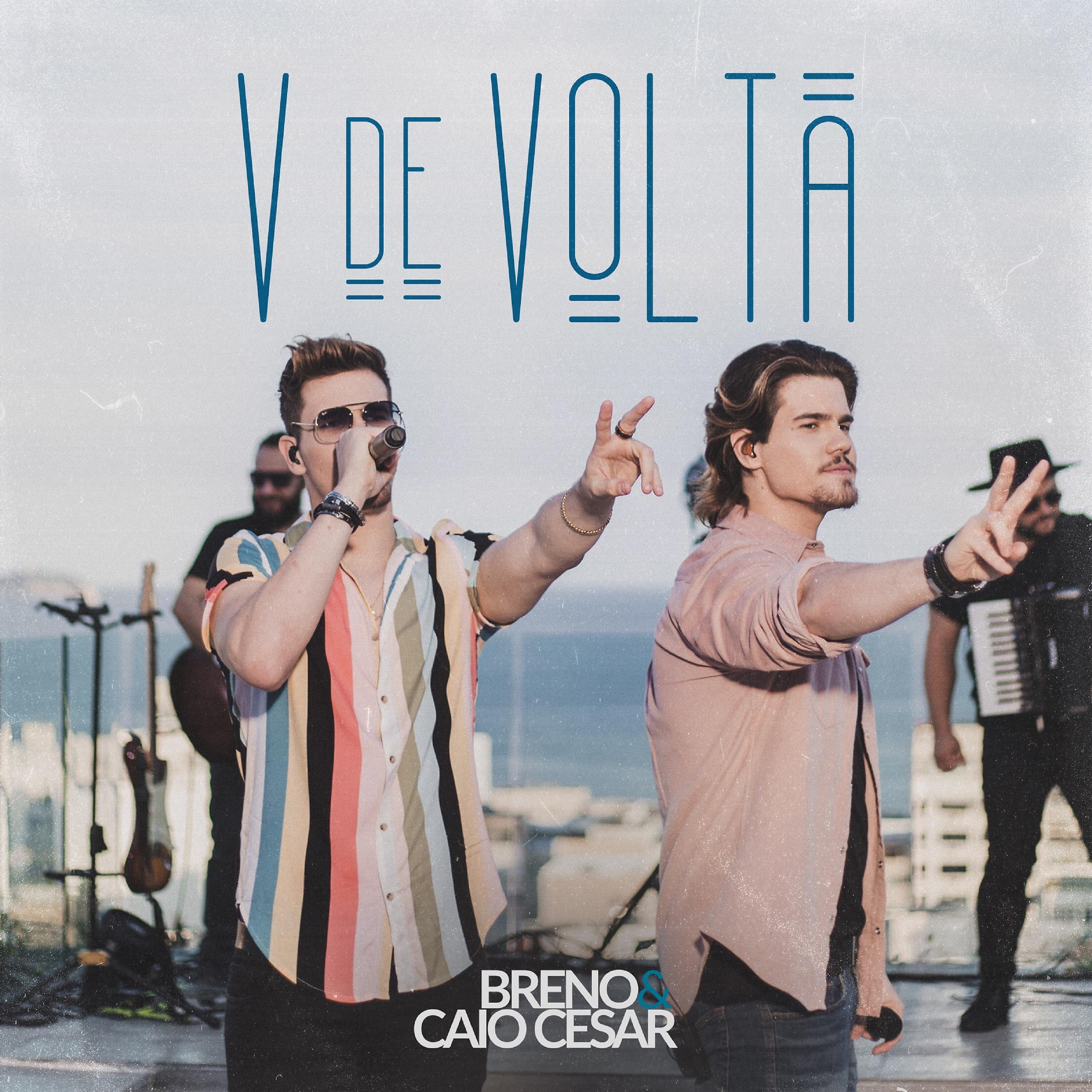 Постер альбома V de Volta