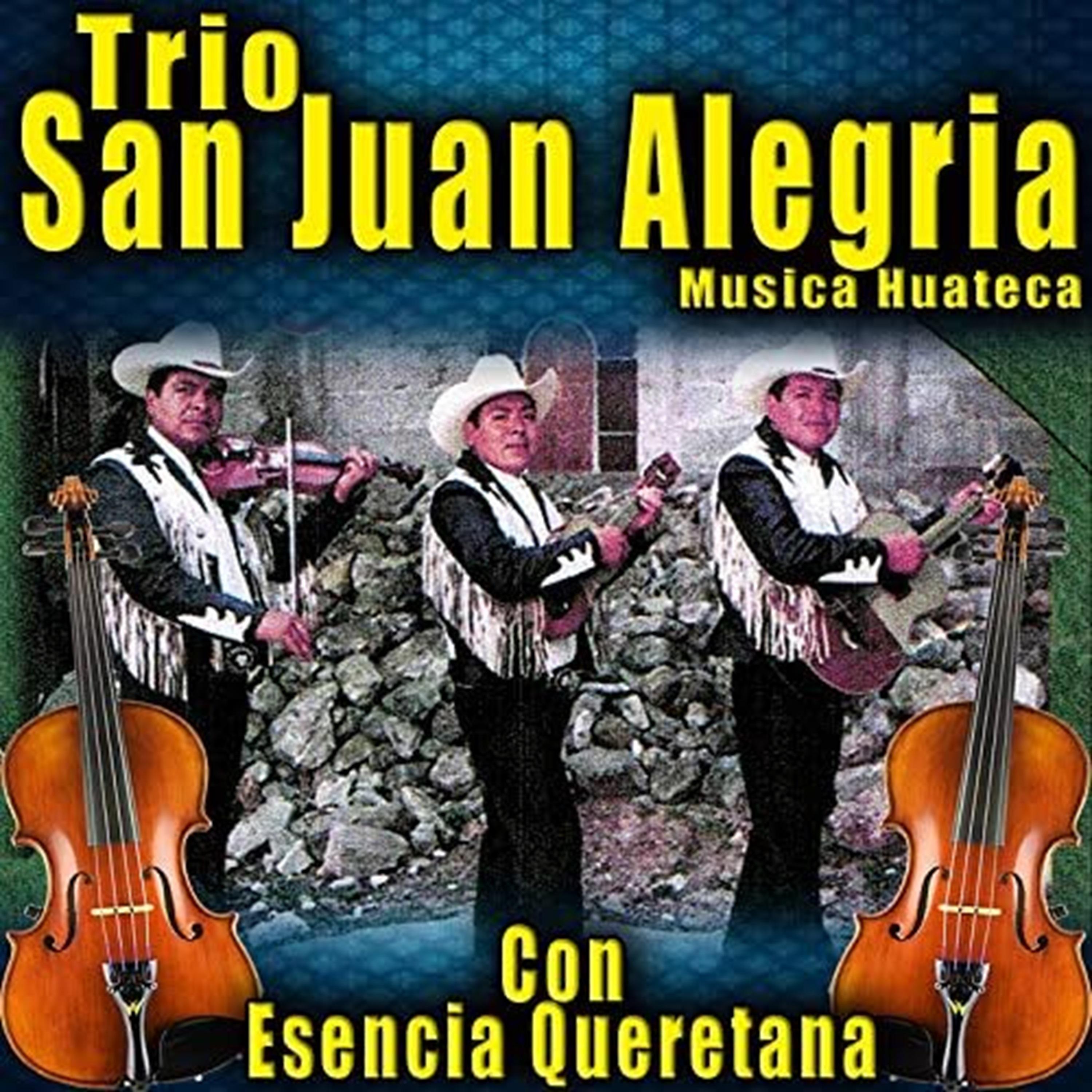 Постер альбома Con Esencia Queretana