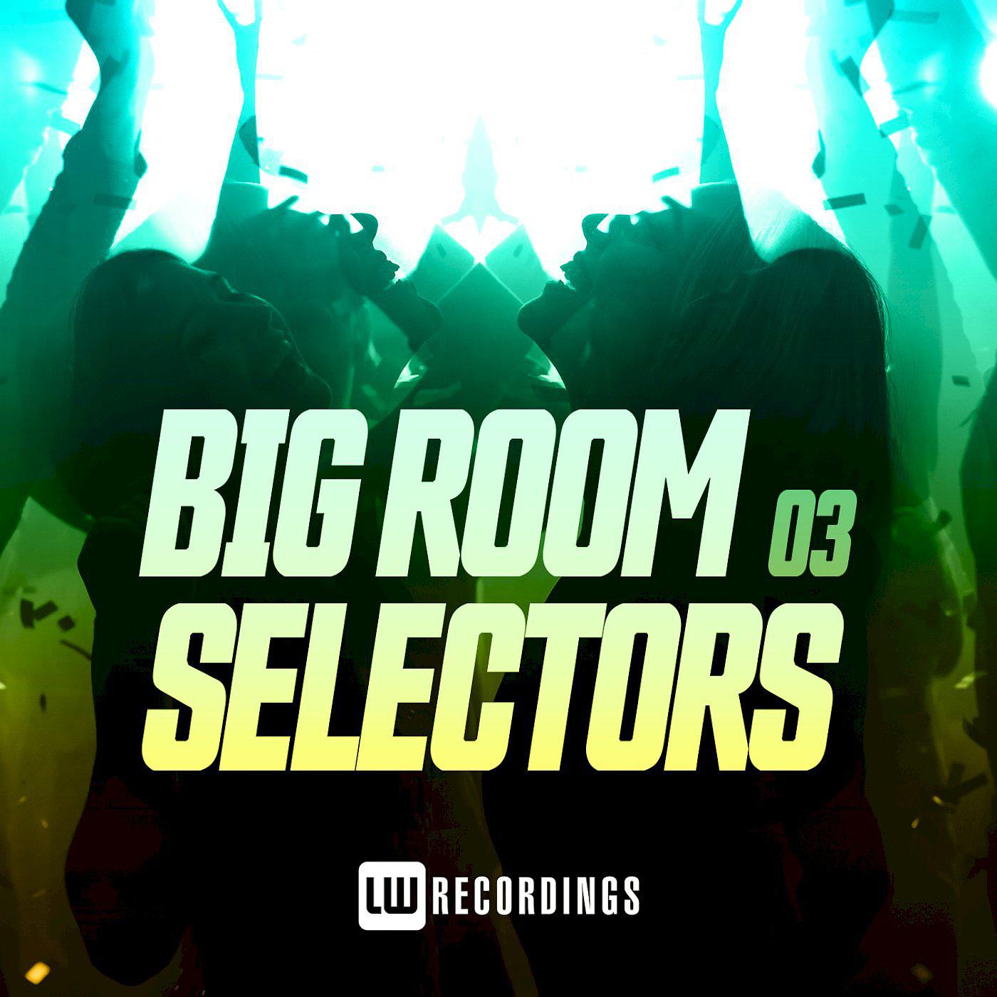 Постер альбома Big Room Selectors, 03