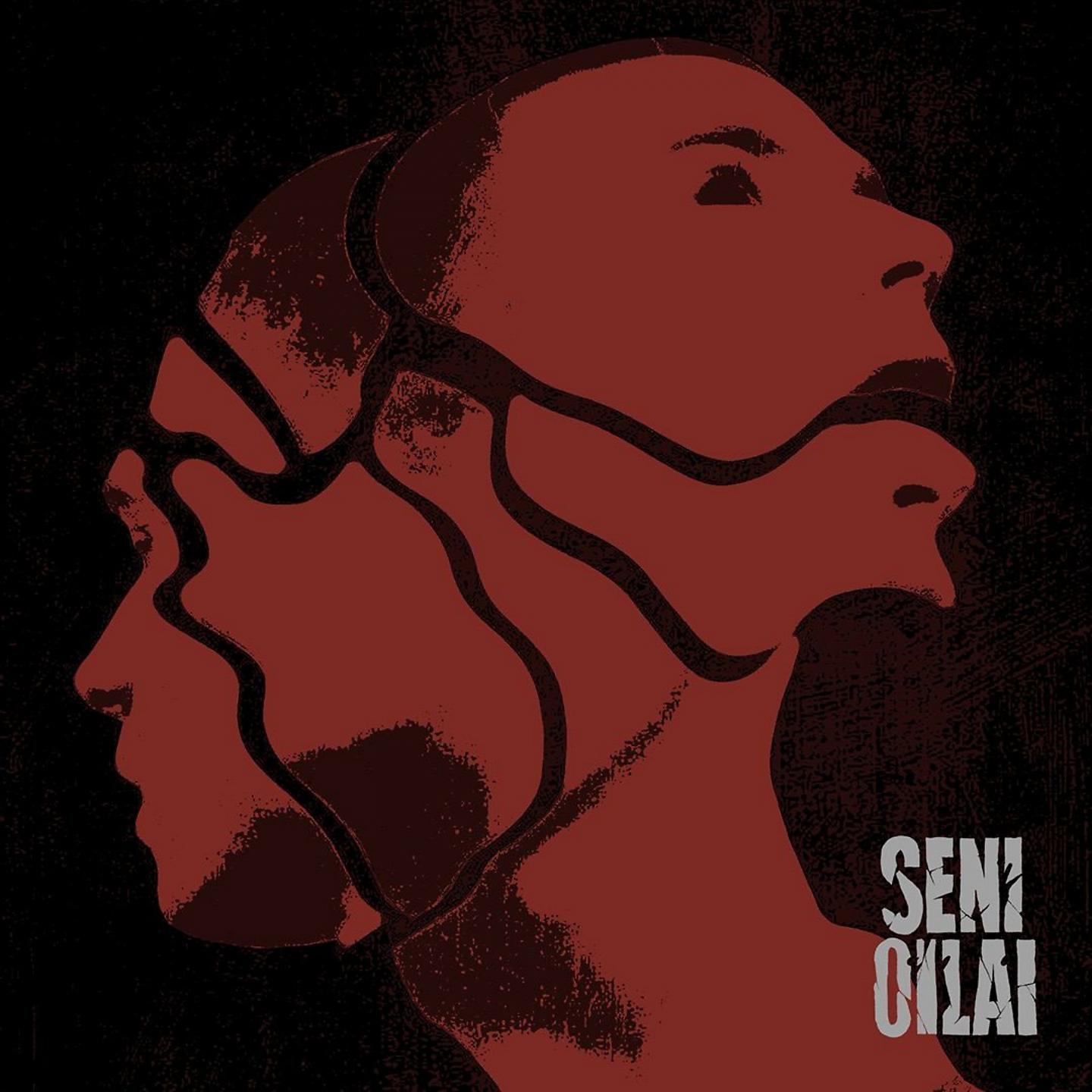 Постер альбома Seni oilai