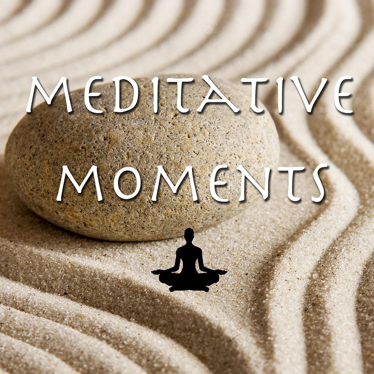 Постер альбома Meditative Moments Vol.2