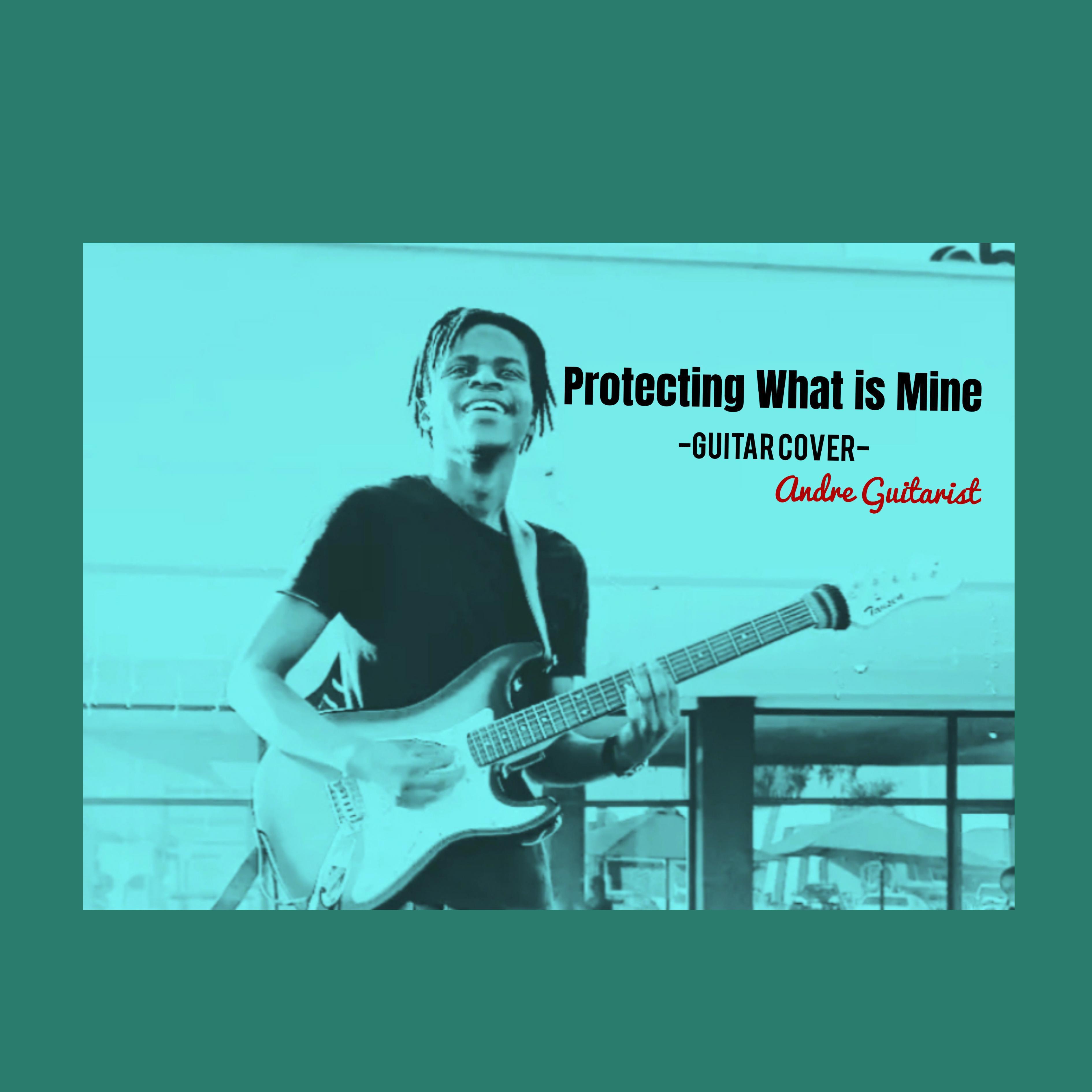 Постер альбома Protecting What is Mine