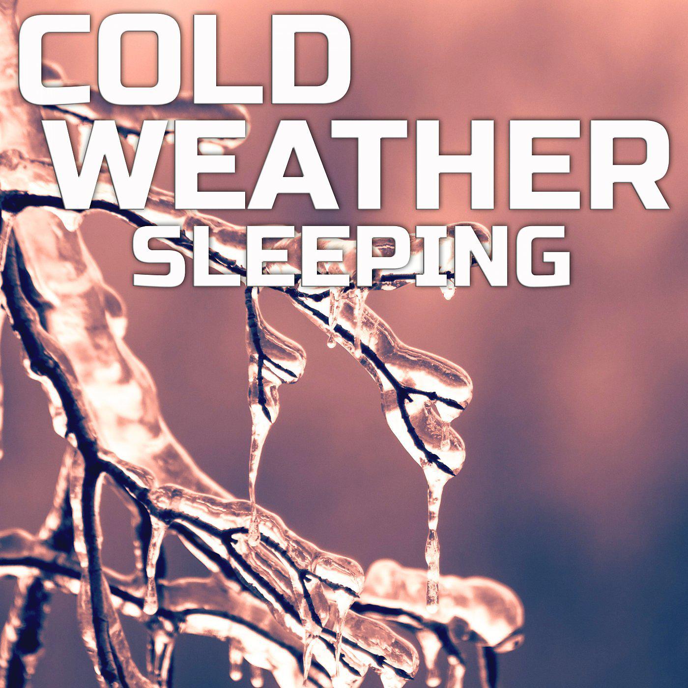 Постер альбома Cold Weather Sleeping