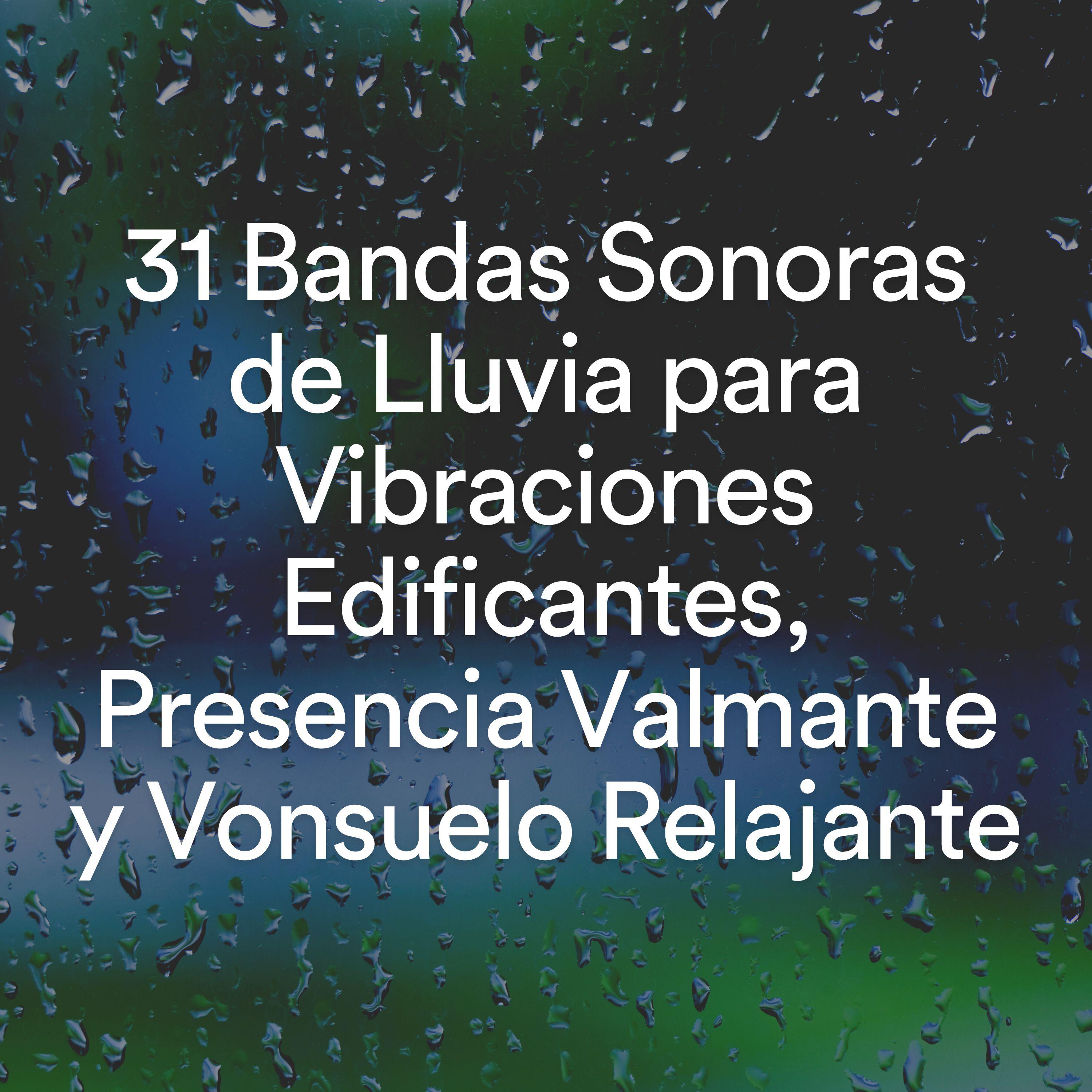 Постер альбома 31 Bandas Sonoras de Lluvia para Vibraciones Edificantes, Presencia Valmante y Vonsuelo Relajante