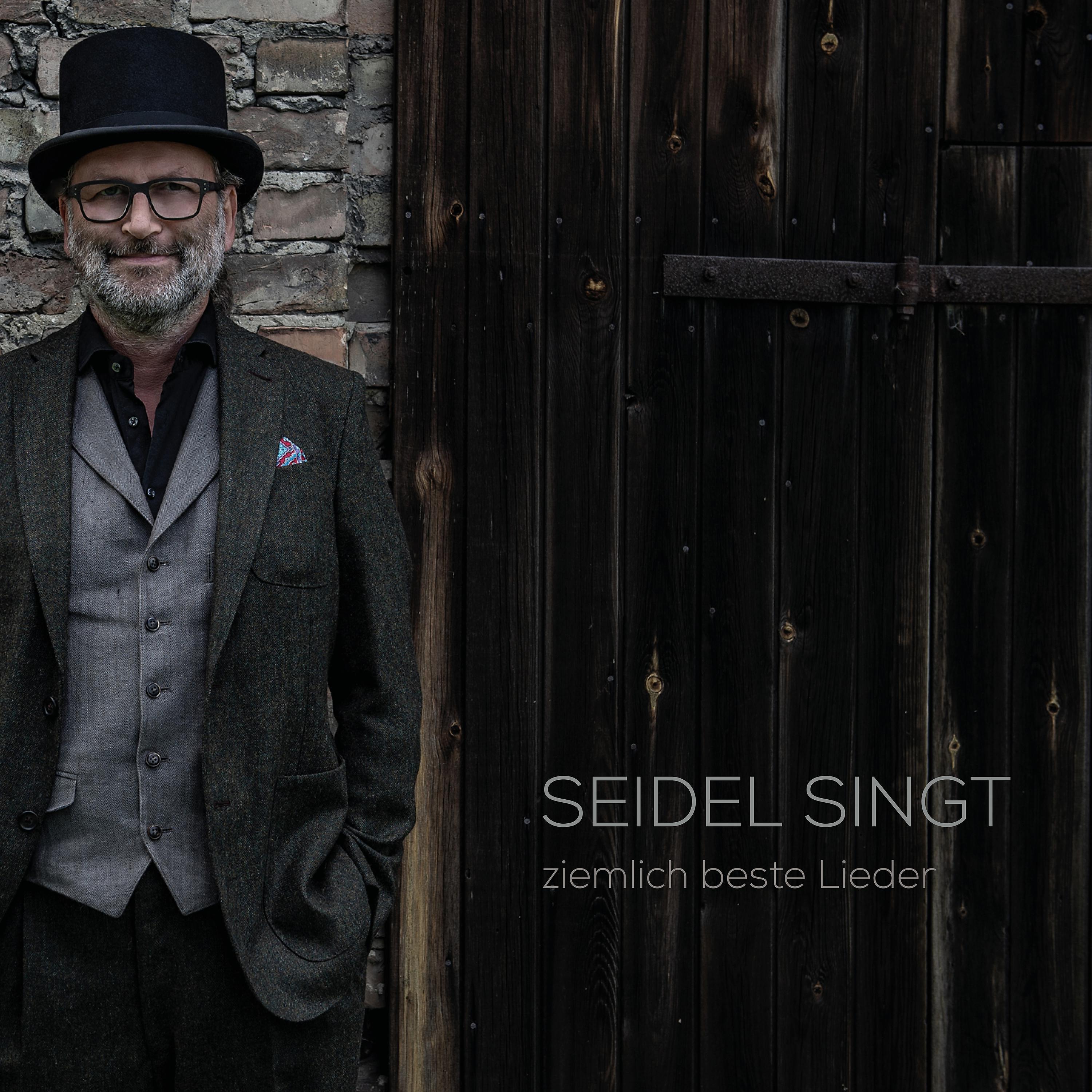 Постер альбома Seidel singt: Ziemlich beste Lieder