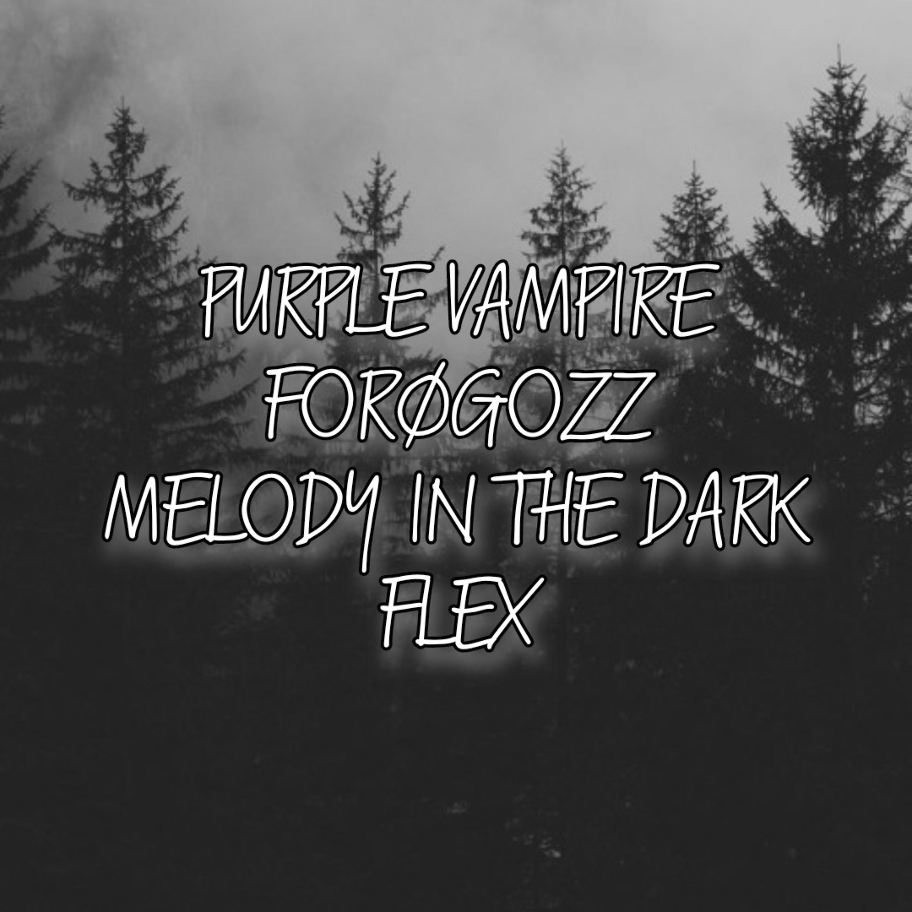 Постер альбома Melody in the Dark Flex