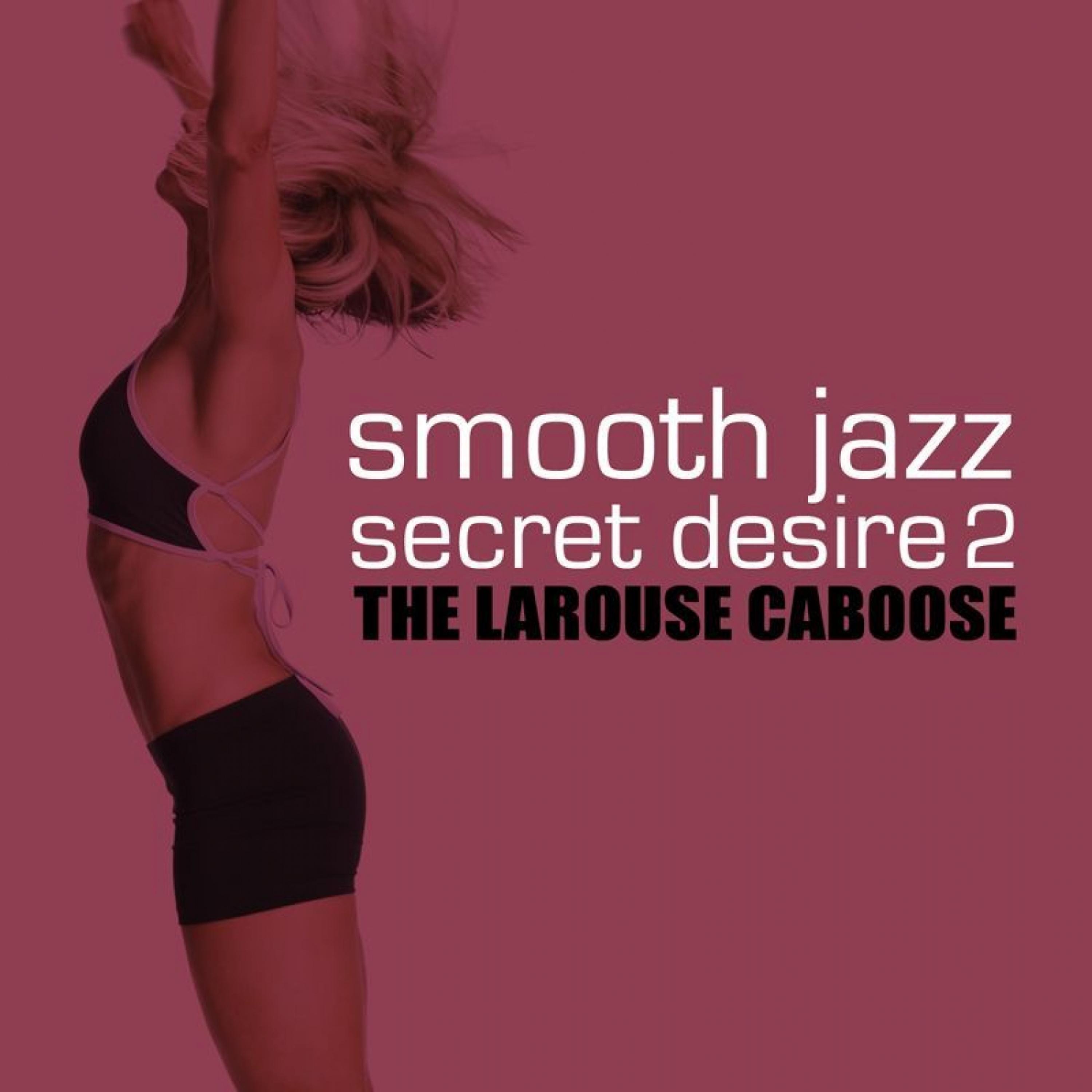 Постер альбома Smooth Jazz Secret Desire 2