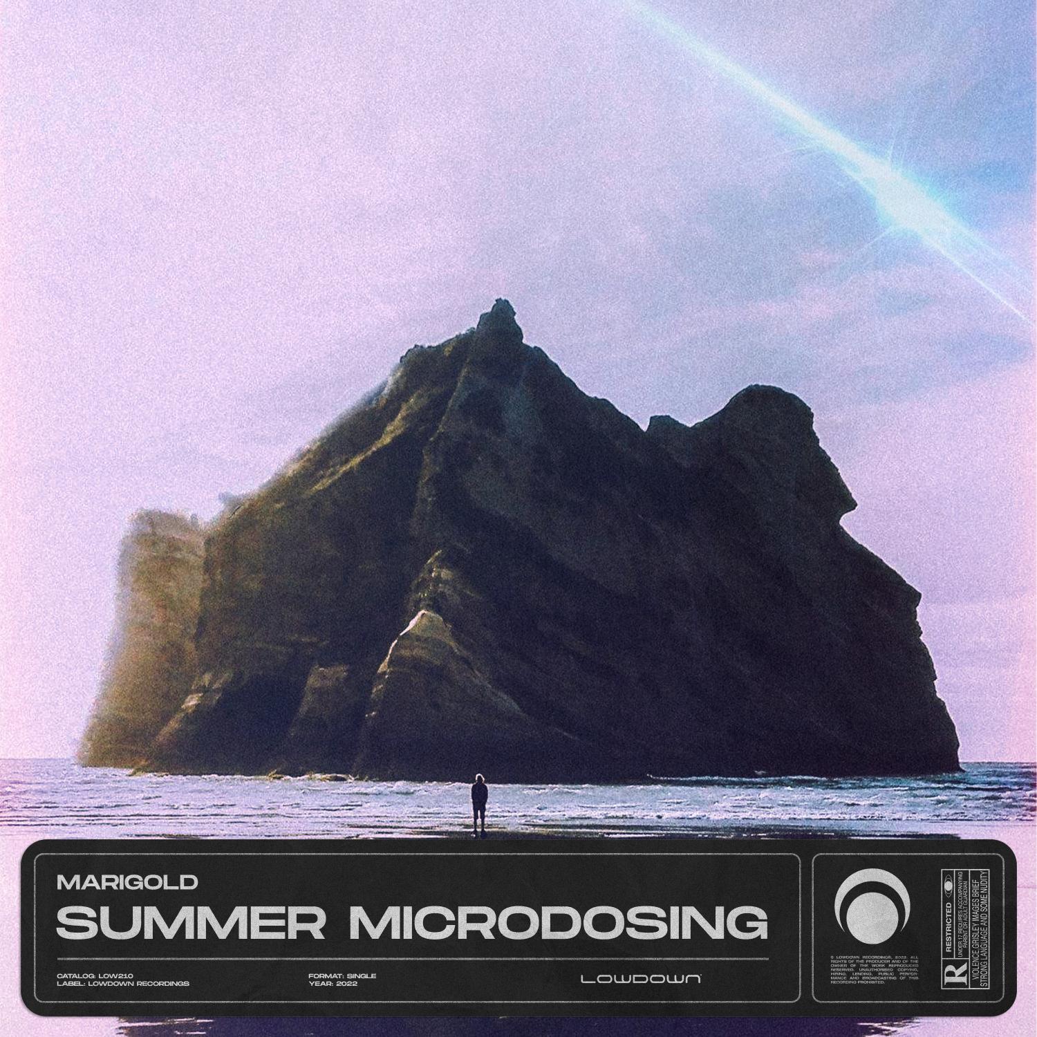 Постер альбома Summer Microdosing