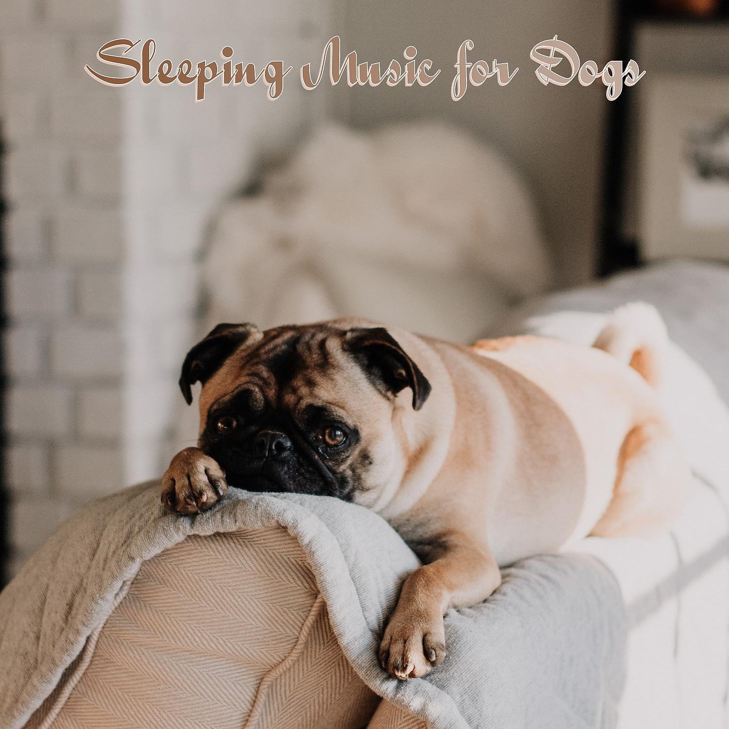 Постер альбома Sleeping Music for Dogs