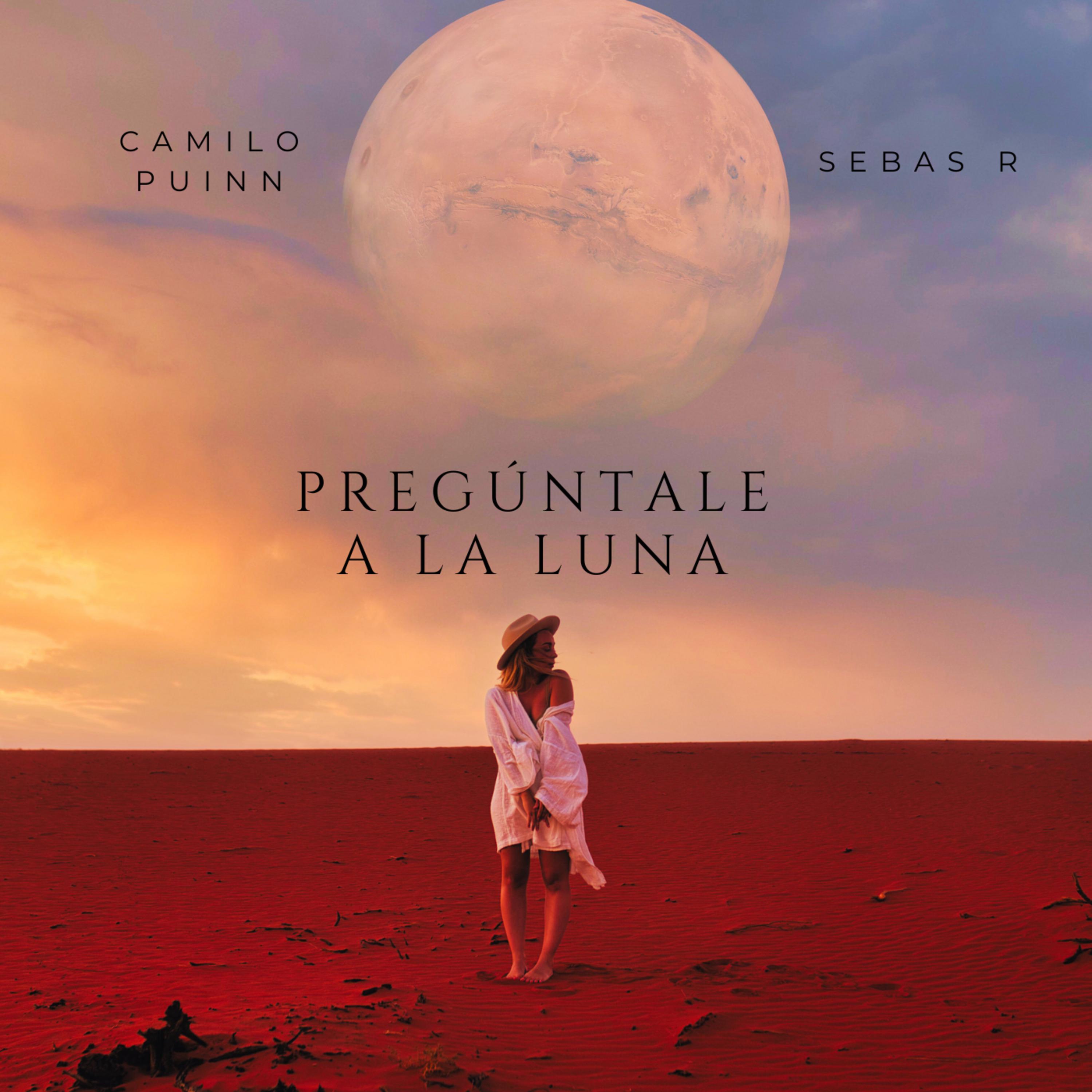 Постер альбома Pregúntale a la Luna