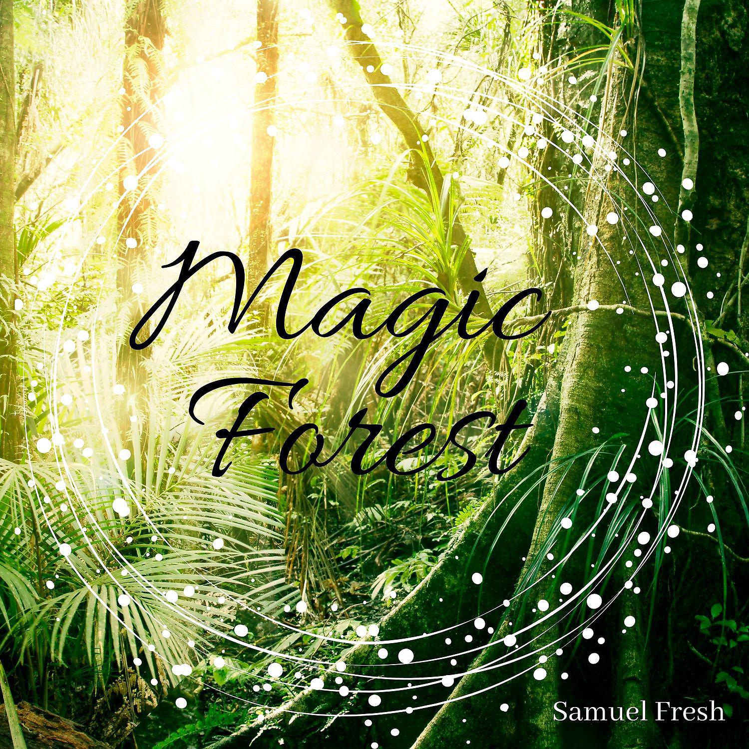 Постер альбома Magic Forest: Relaxation & Meditation Audio