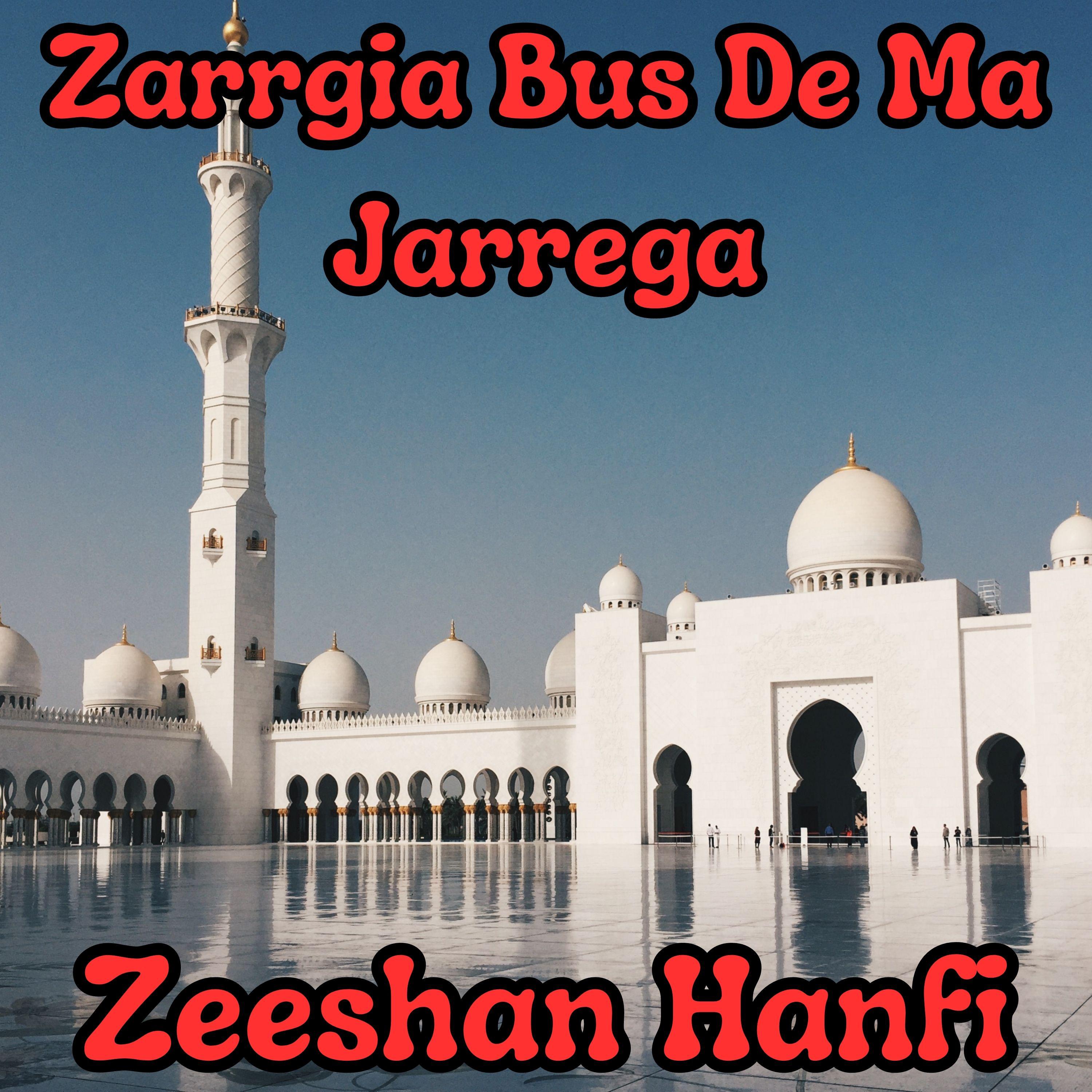 Постер альбома Zarrgia Bus De Ma Jarrega