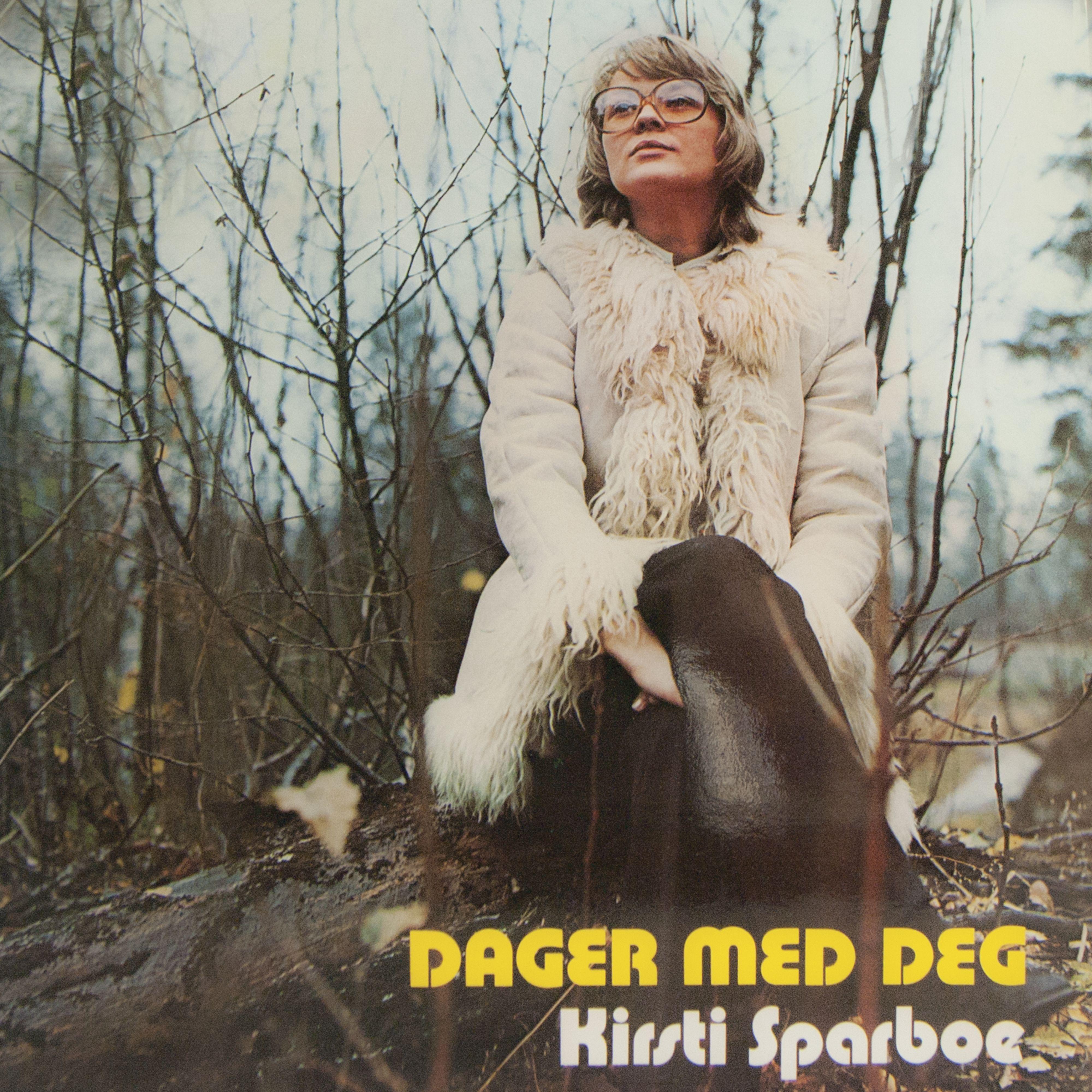 Постер альбома Dager med deg
