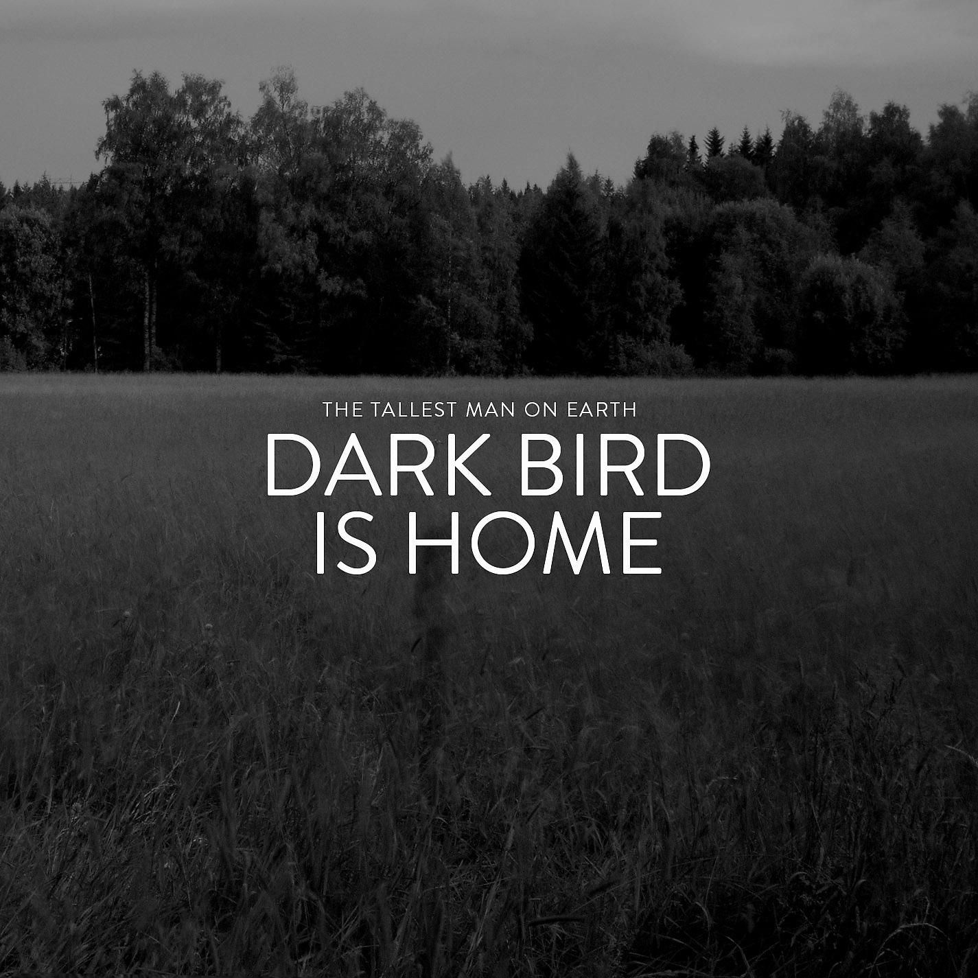 Постер альбома Dark Bird Is Home