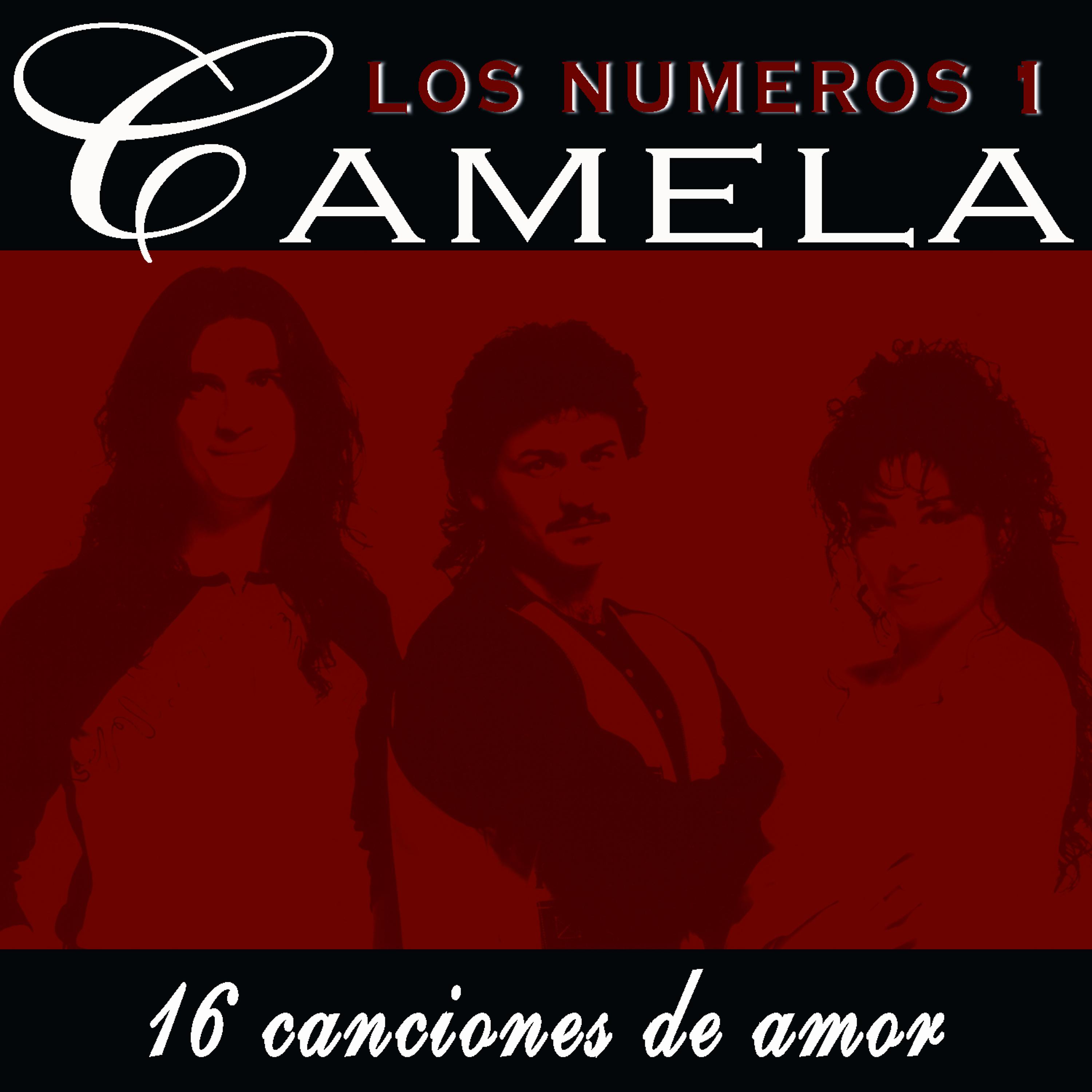 Постер альбома Camela 16 canciones de amor. Los números 1