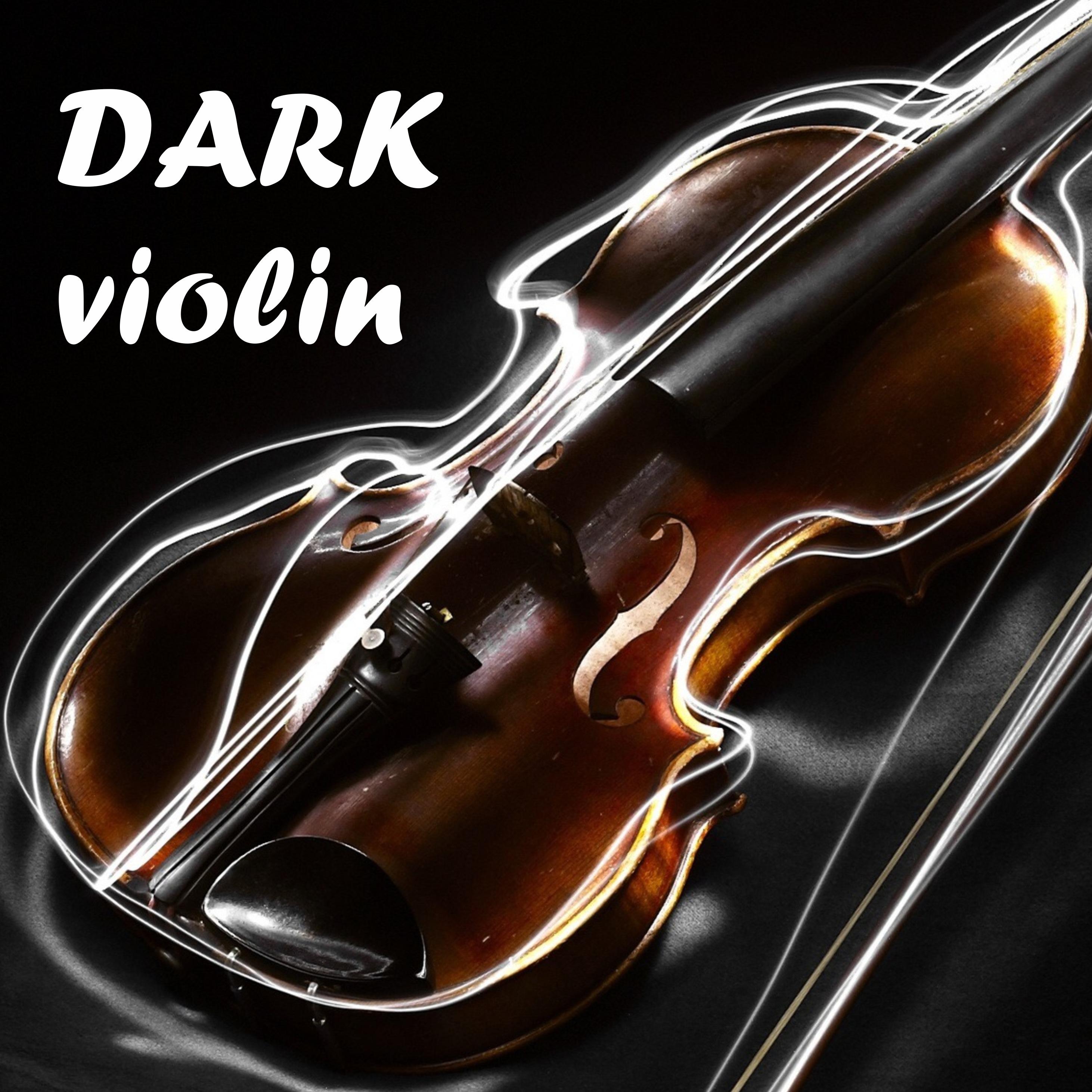Постер альбома Dark Violin