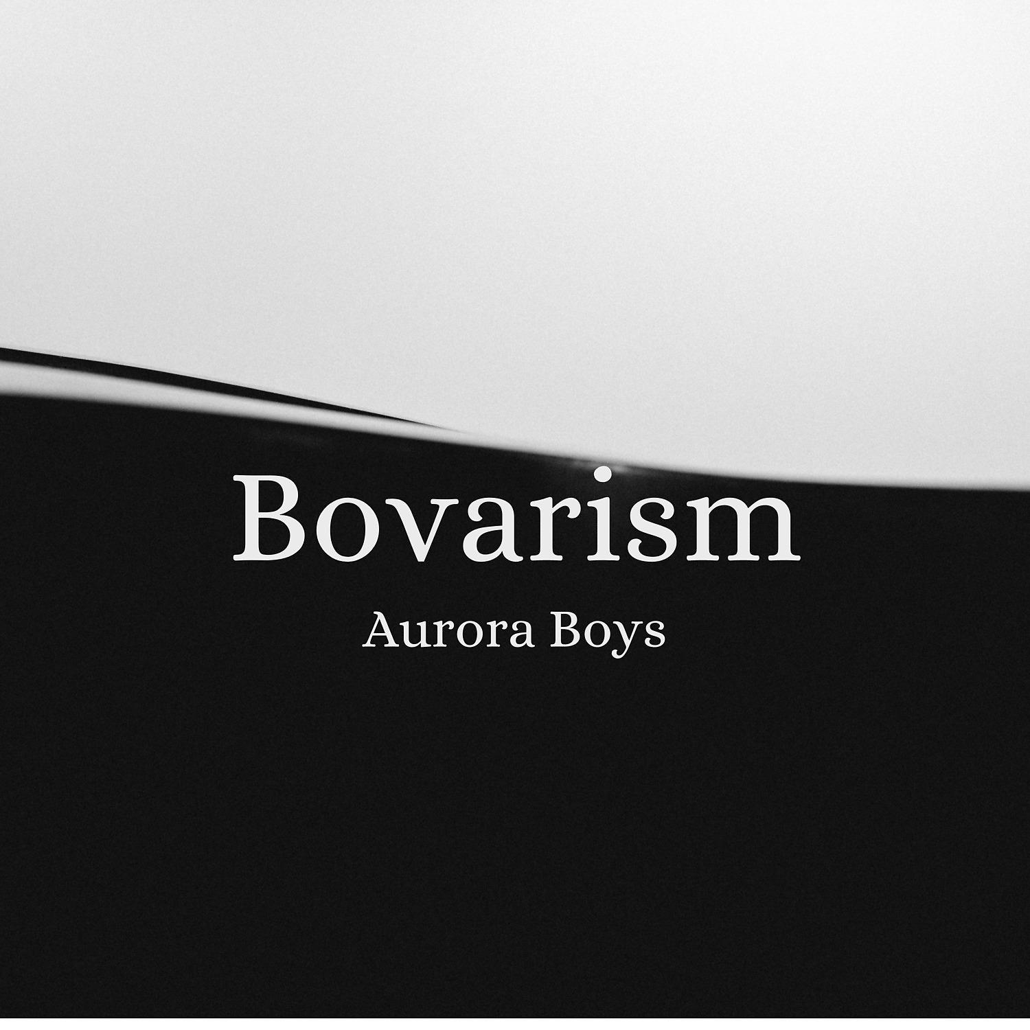 Постер альбома Bovarism